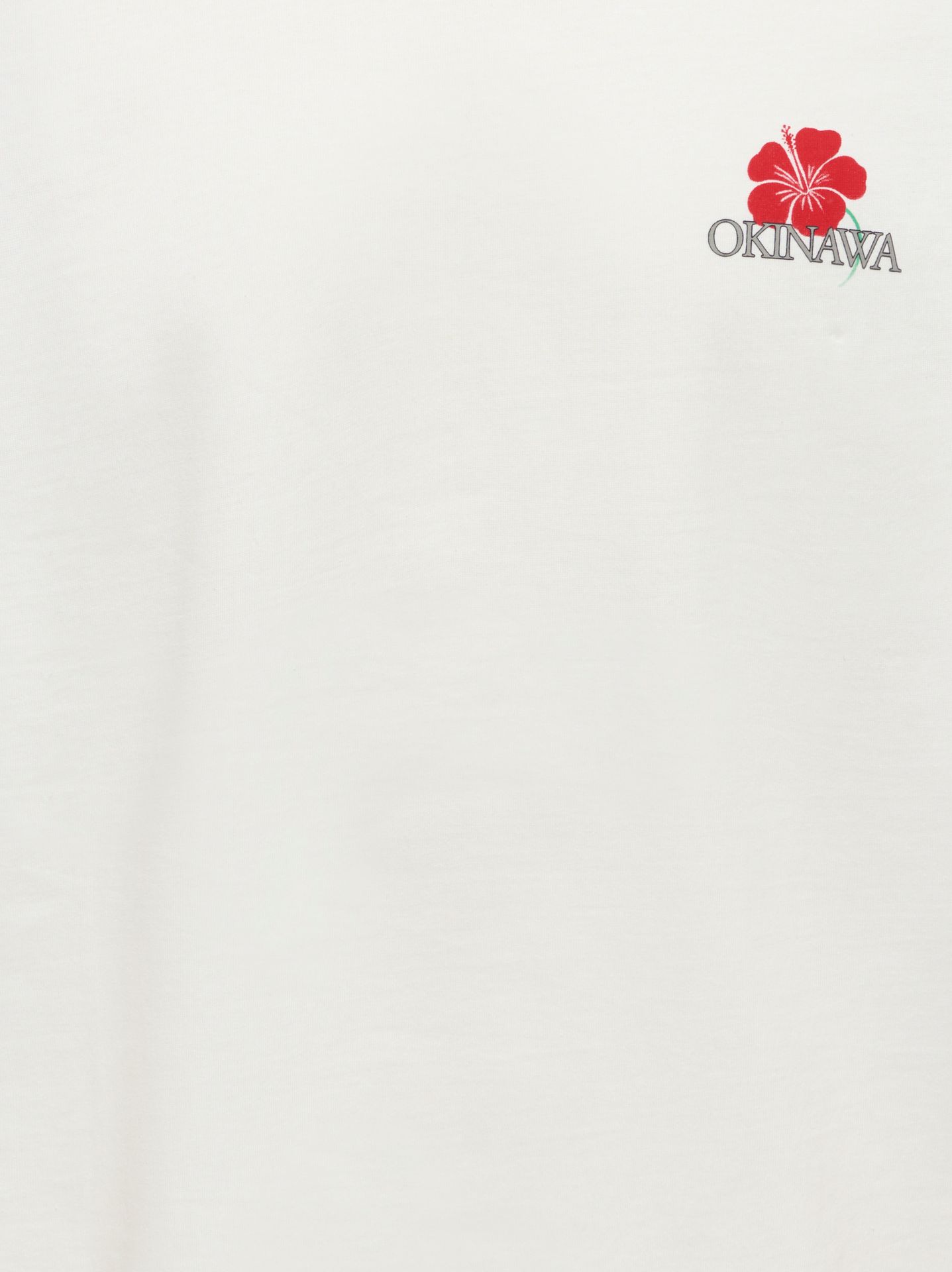 Only & Sons ONSFRED LIFE RLX SS PRINT TEE NOOS Cloud Dancer/OKINAWA 2900169503023
