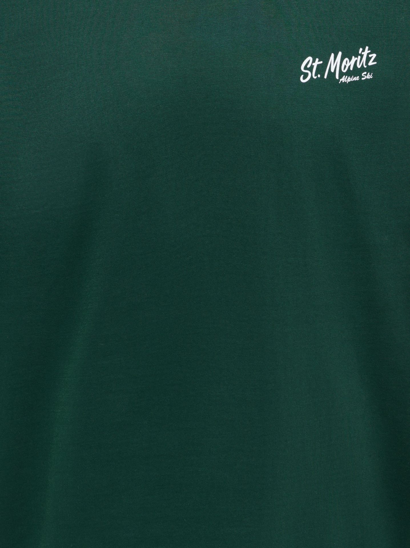 Only & Sons ONSFRED LIFE RLX SS PRINT TEE NOOS Pine Grove/ST. MORITZ 2900169509018