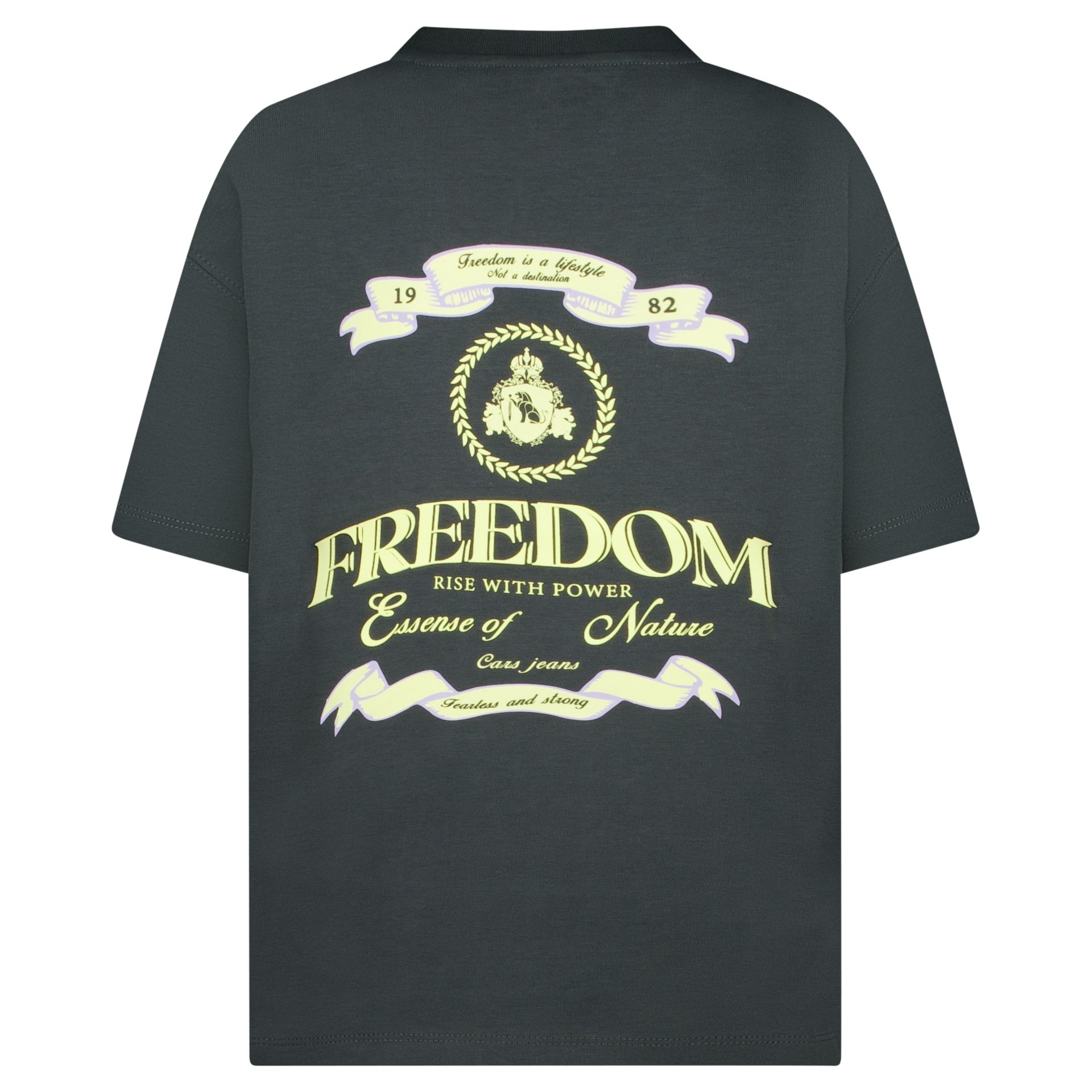 Cars jeans Kids NAZURO TS Backprint  17 antra 2900163072013