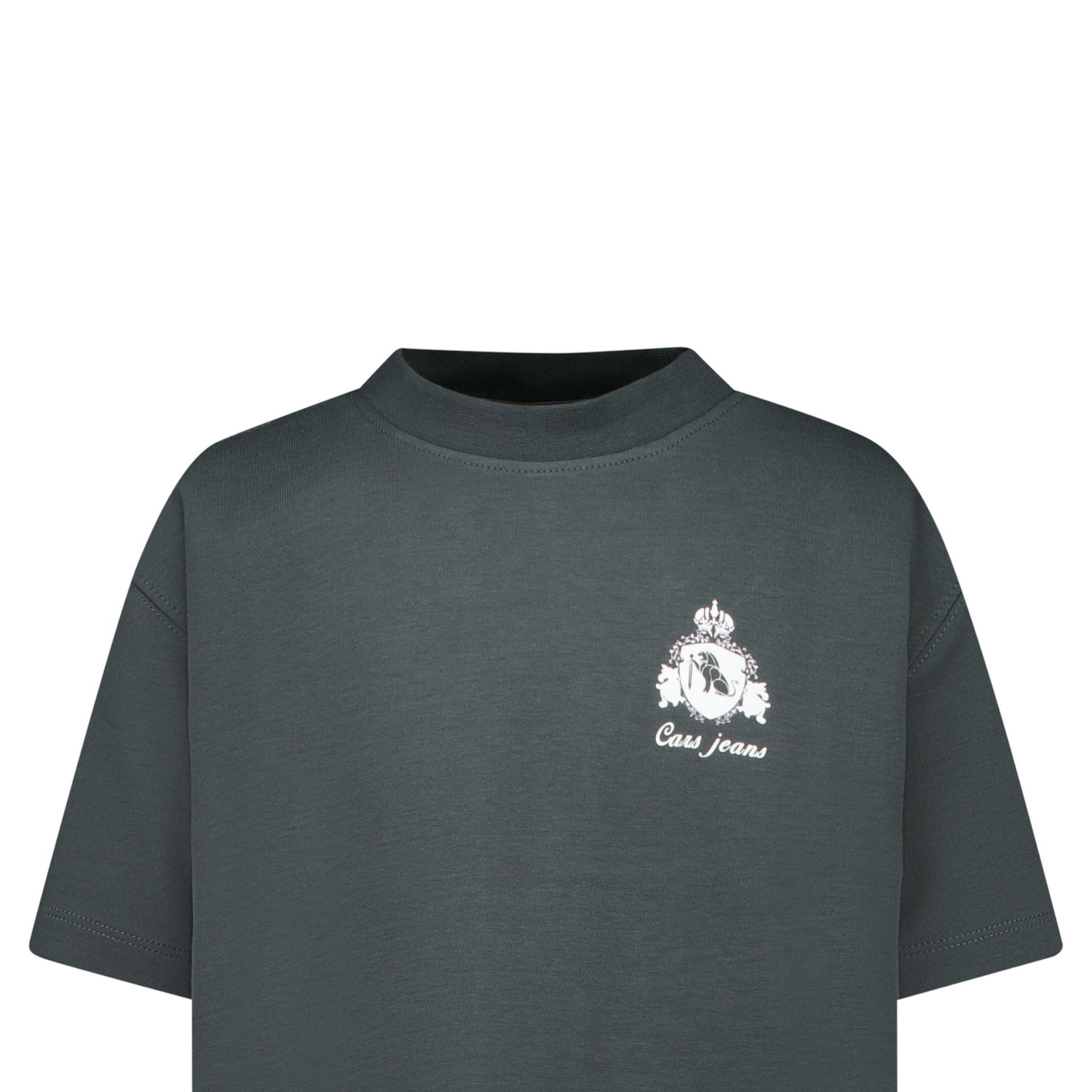 Cars jeans Kids NAZURO TS Backprint  17 antra 2900163072013