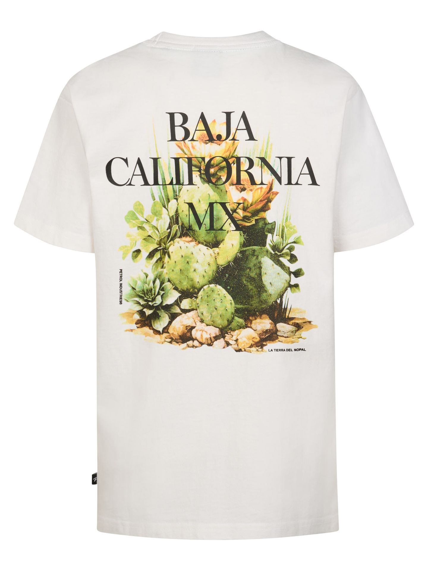 Petrol Industries Boys T-Shirt SS Classic Print 0000 bright white 2900163542035