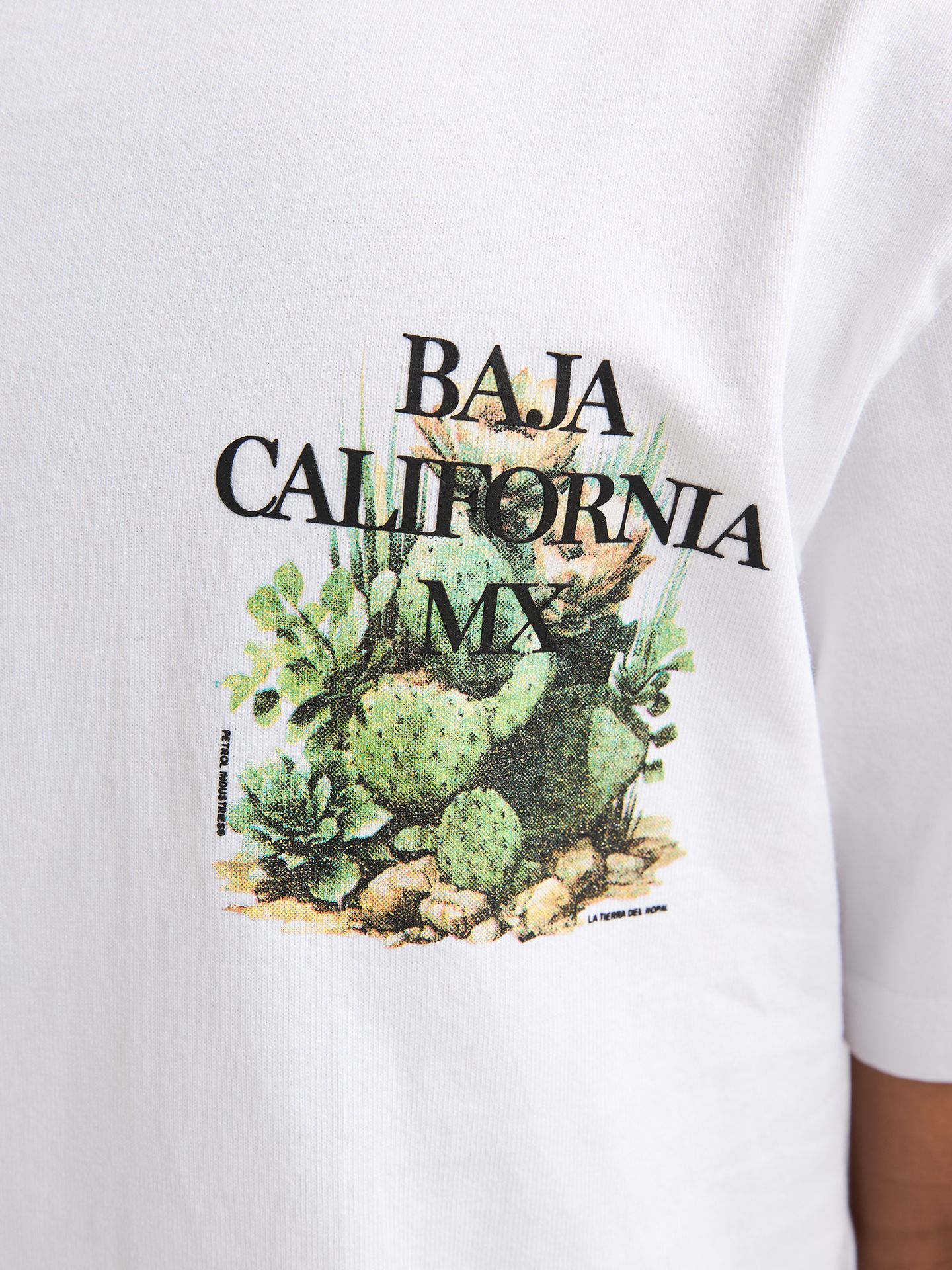 Petrol Industries Boys T-Shirt SS Classic Print 0000 bright white 2900163542035