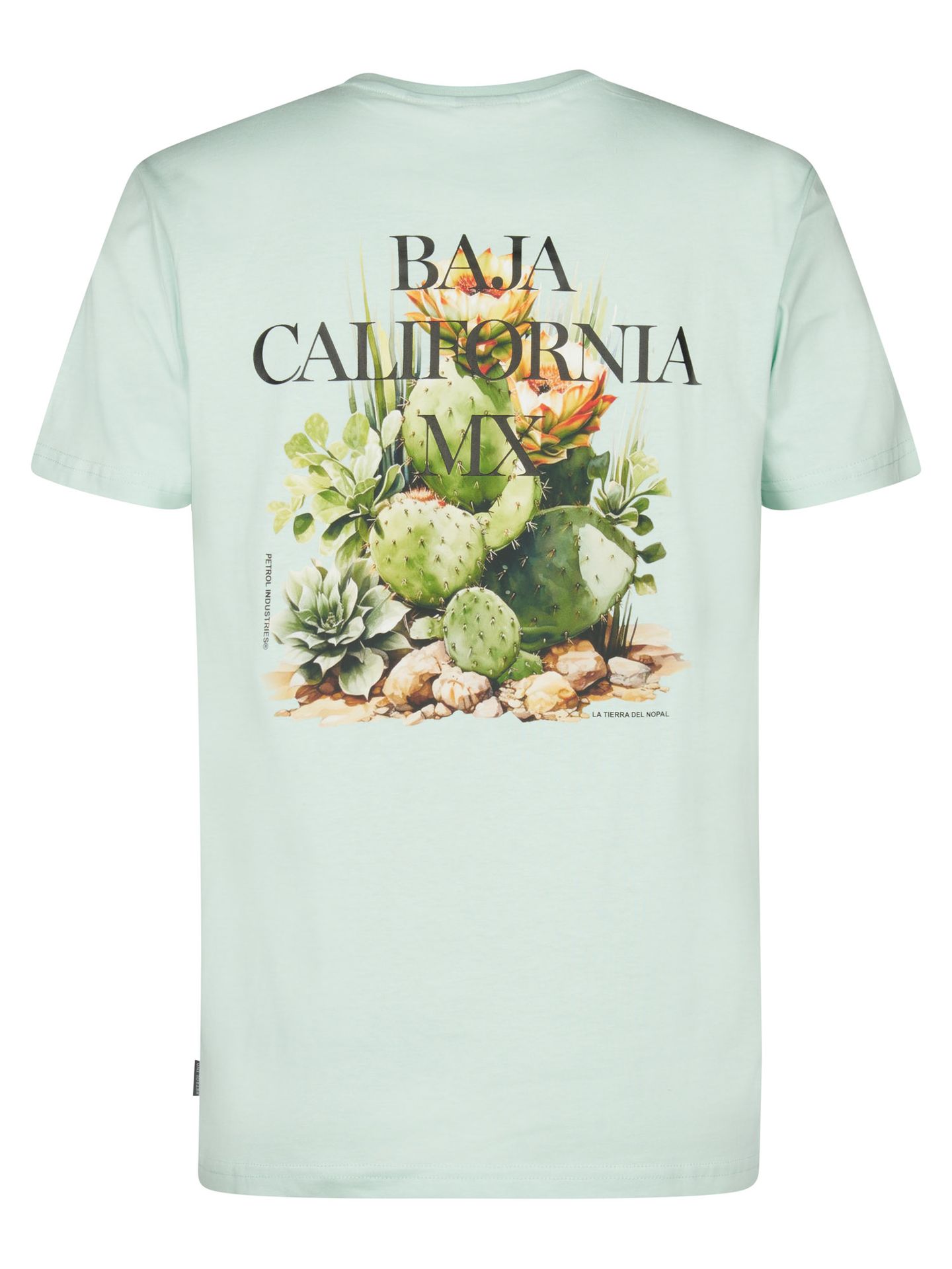 Petrol Industries Men T-Shirt SS 6181 cool mint 2900163567069