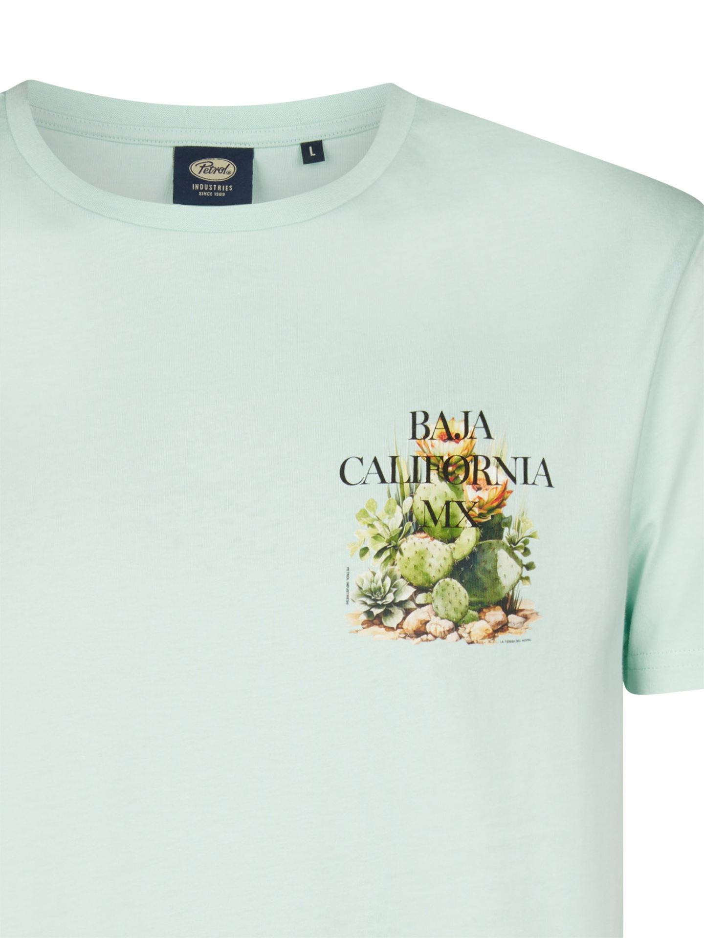 Petrol Industries Men T-Shirt SS 6181 cool mint 2900163567069