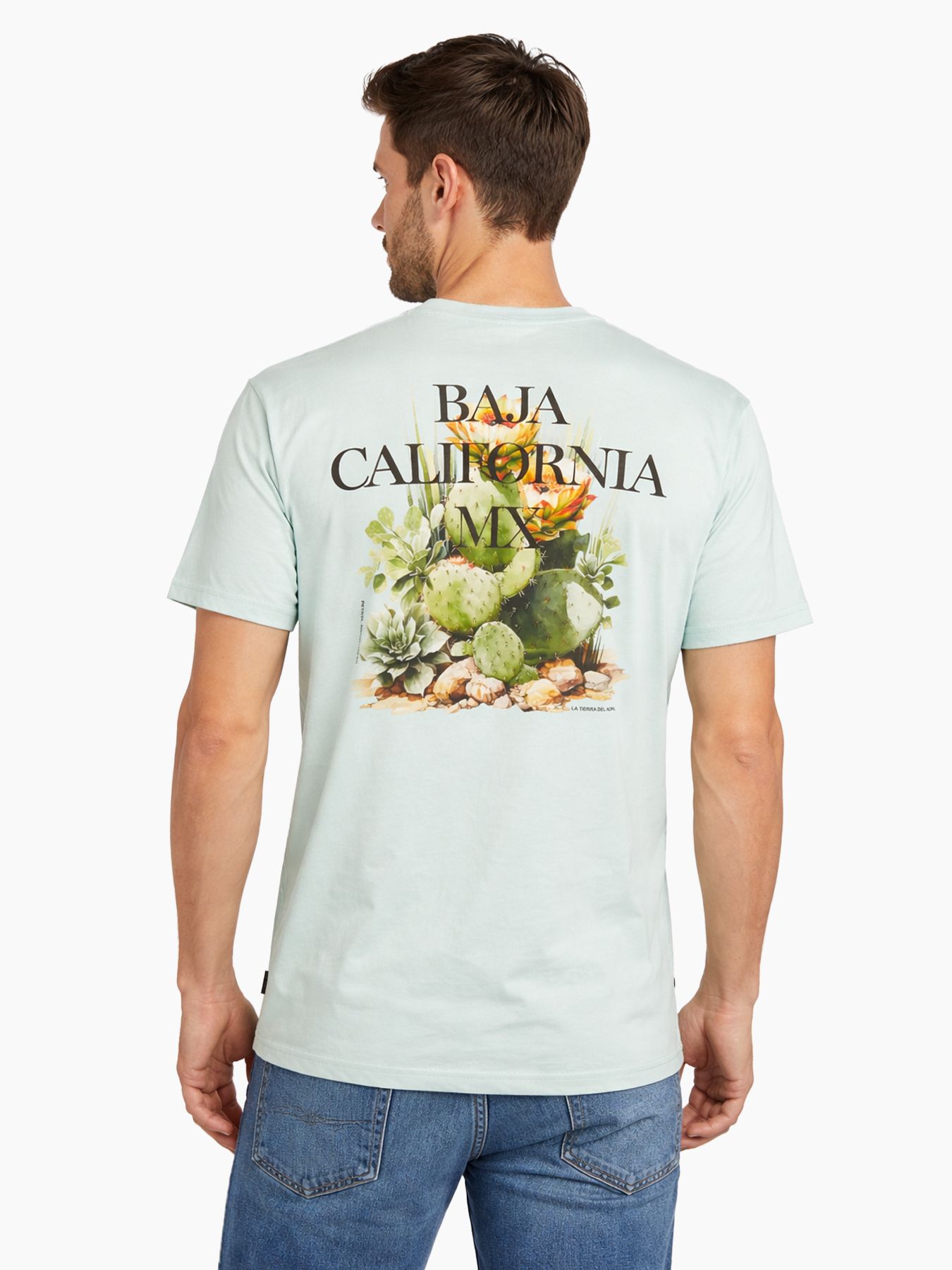 Petrol Industries Men T-Shirt SS 6181 cool mint 2900163567069