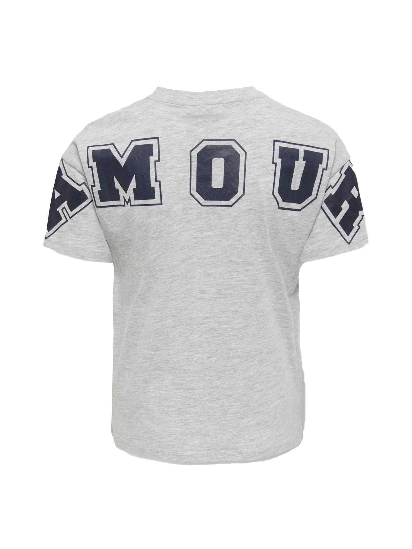 Only KOGAMOURA LIFE SS REG PRINT TOP CS Light Grey Melange/Silver Glitter 2900163608021