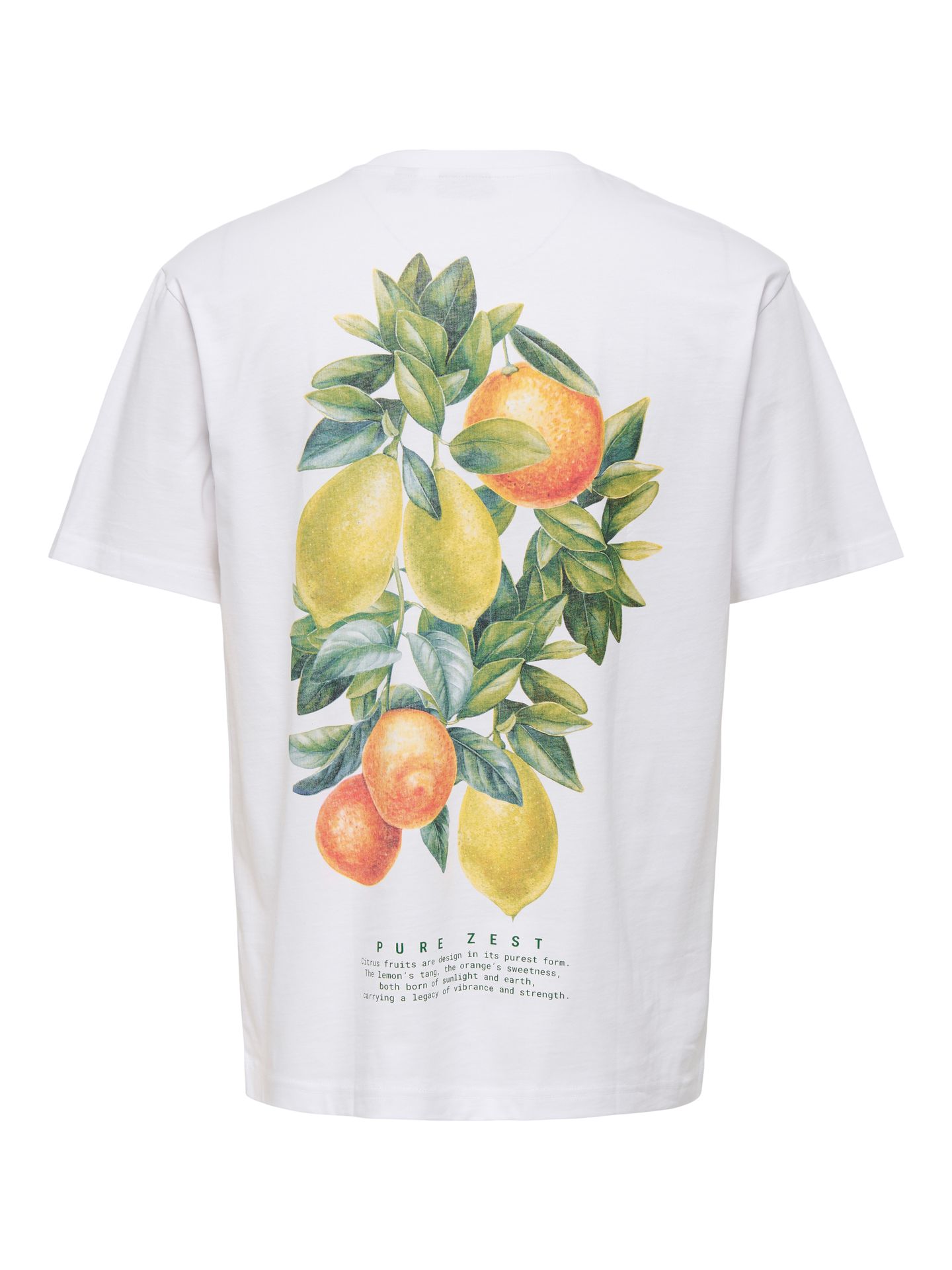 Only & Sons OSJAXEL DORADO LIFE RLX SS TEE Bright White/VINEDOS 2900164217031