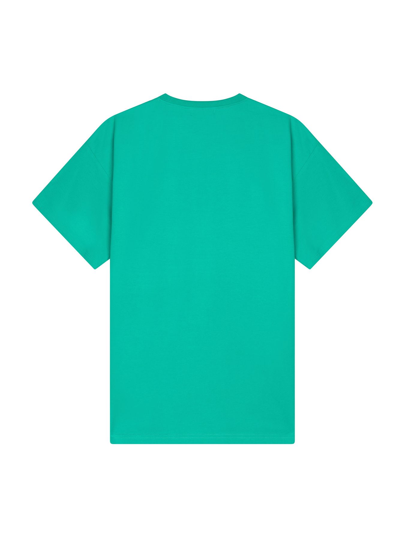 Ydence T-shirt Classic rock Sea Green 2900164383033