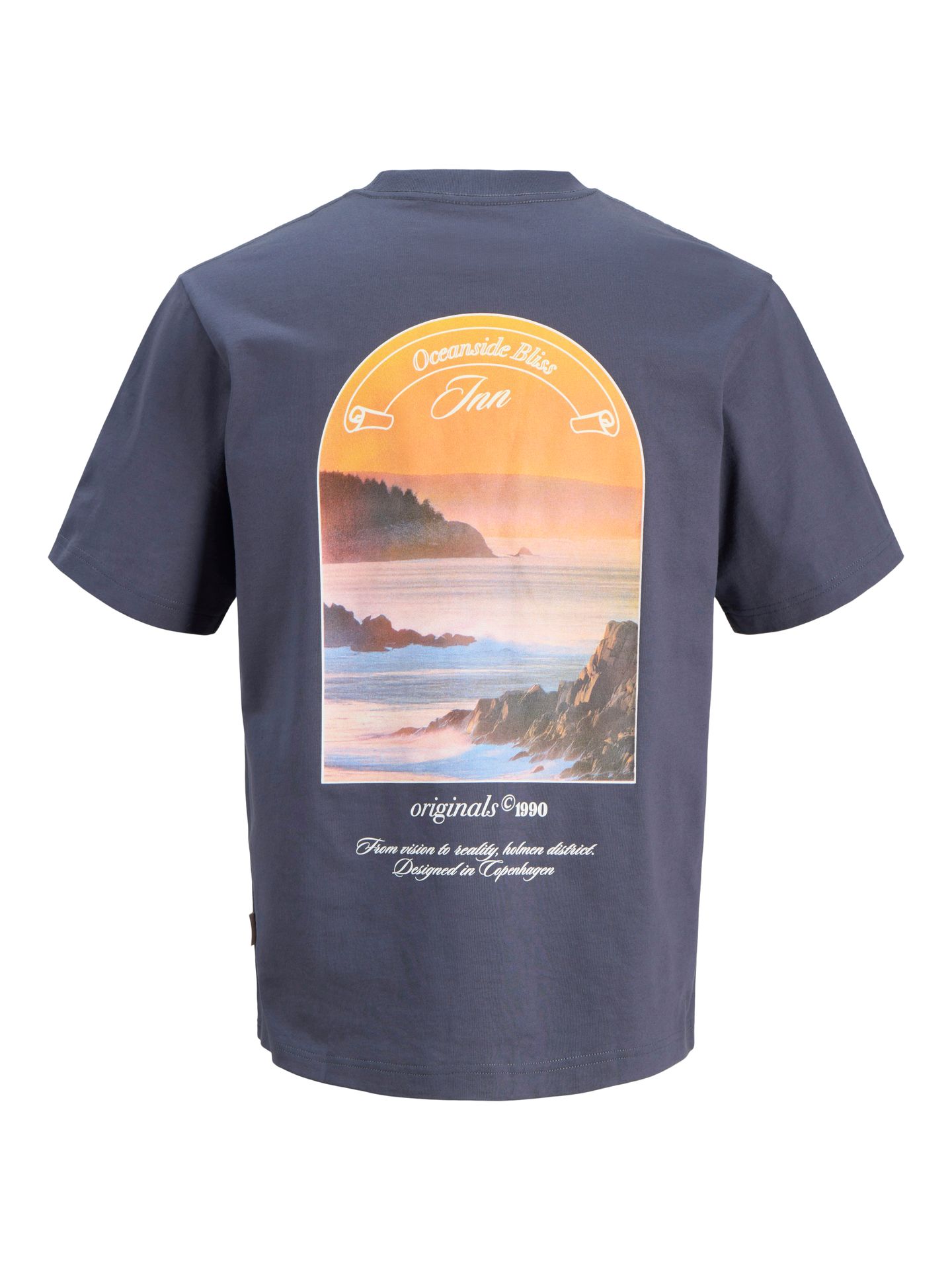 Jack & Jones JORMONTAUK PHOTO BACK TEE SS CN JNR Odyssey Gray 2900164786025