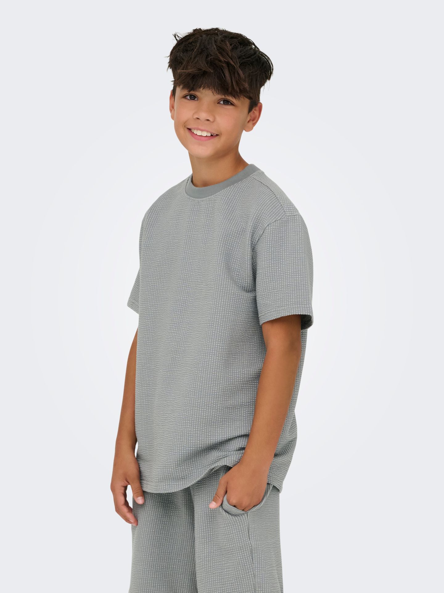 Only & Sons OSJKIAN LIFE RLX SS STRP TEE JRS NO Sedona Sage/GLACIER GRAY 2900165123041