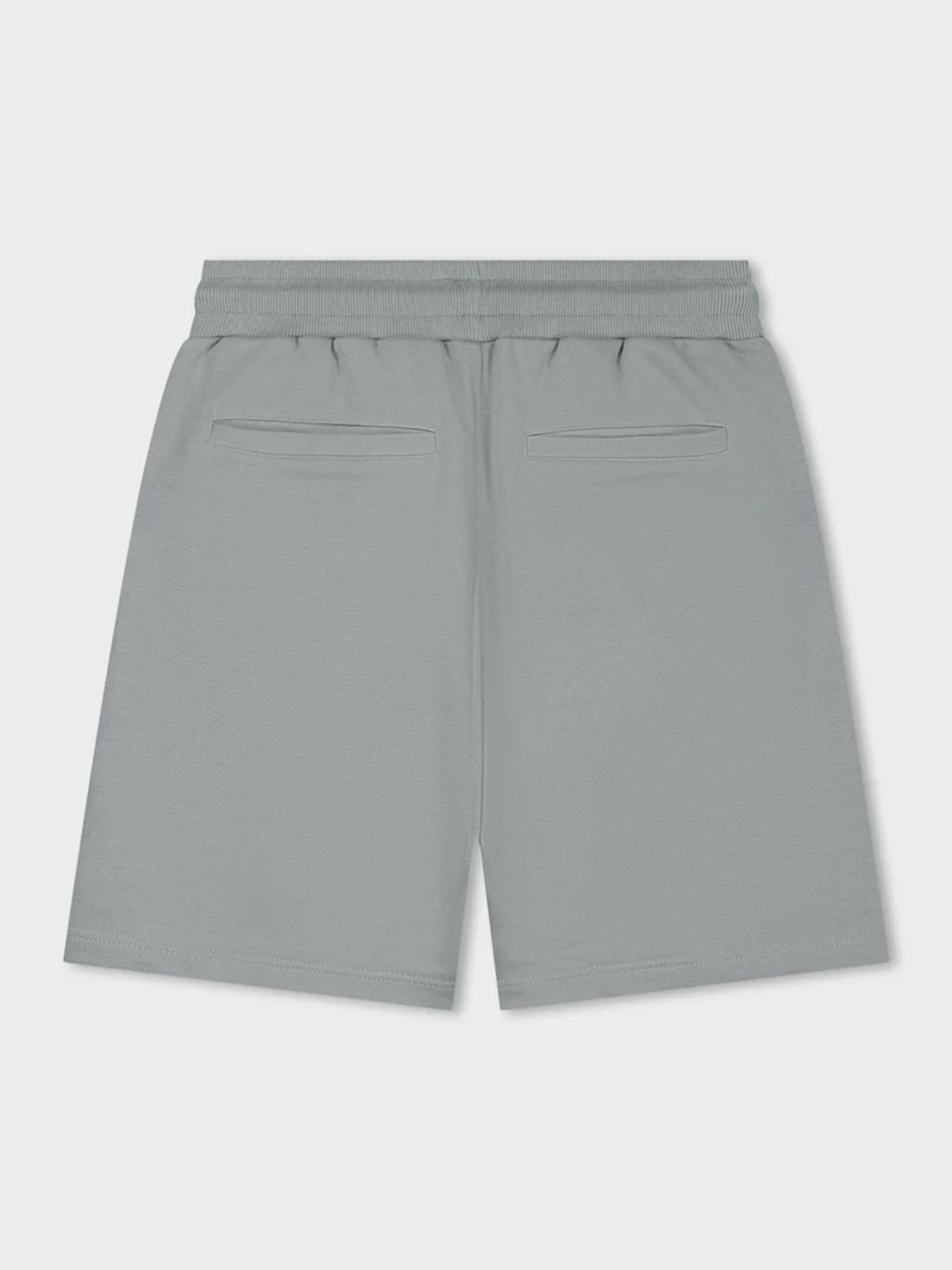 Equalité Societe 2.0 oversized shorts Grey 2900165976043