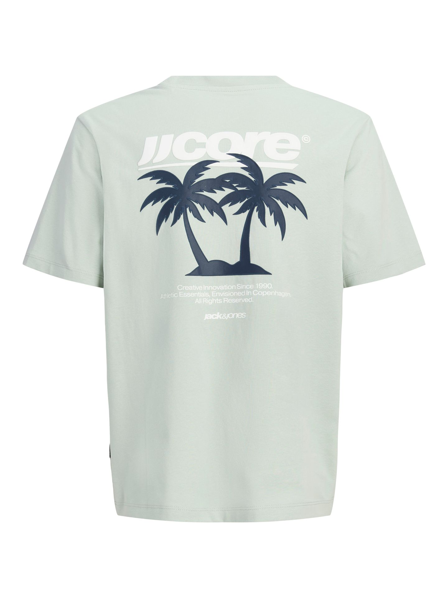 Jack & Jones JCOCLUB BACK IMAGERY TEE SS CN JNR Aqua Gray 2900165994023