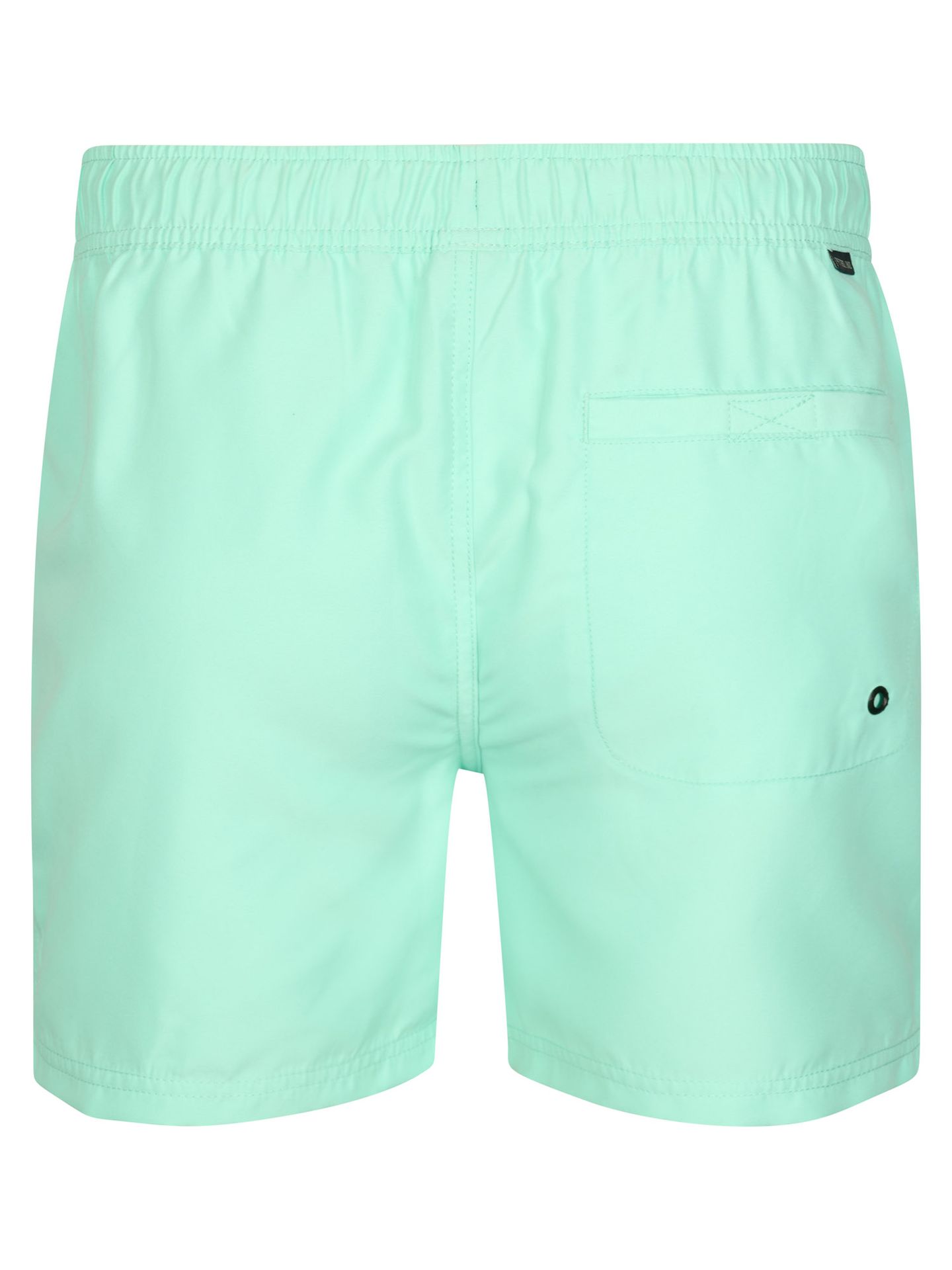 Petrol Industries Men Swimshort 6182 green aqua 2900166312062