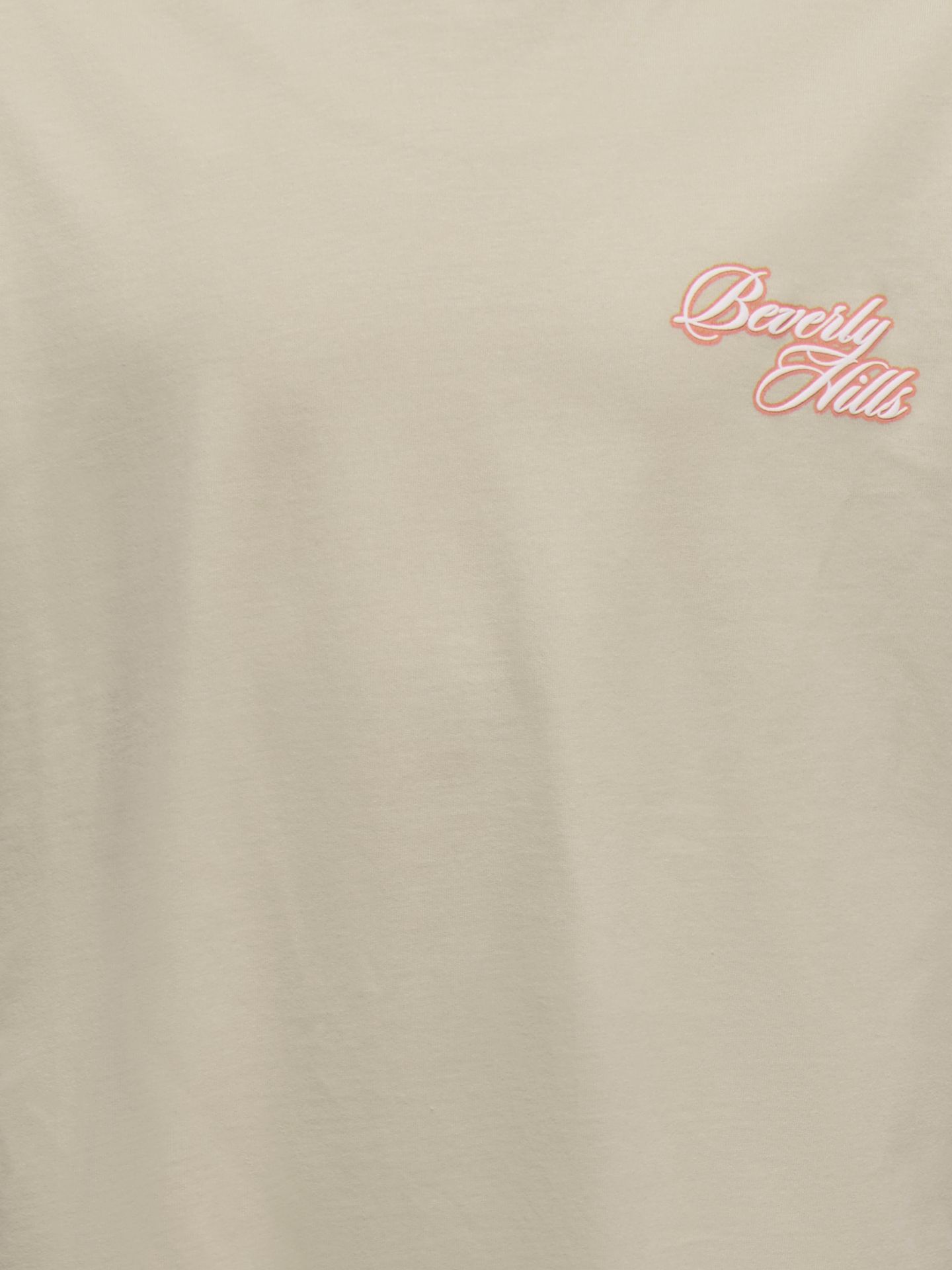 Only & Sons OSJMALIK VACA LIFE RLX SS TEE JRS Silver Lining/CLOUD DANCER 2900166702030