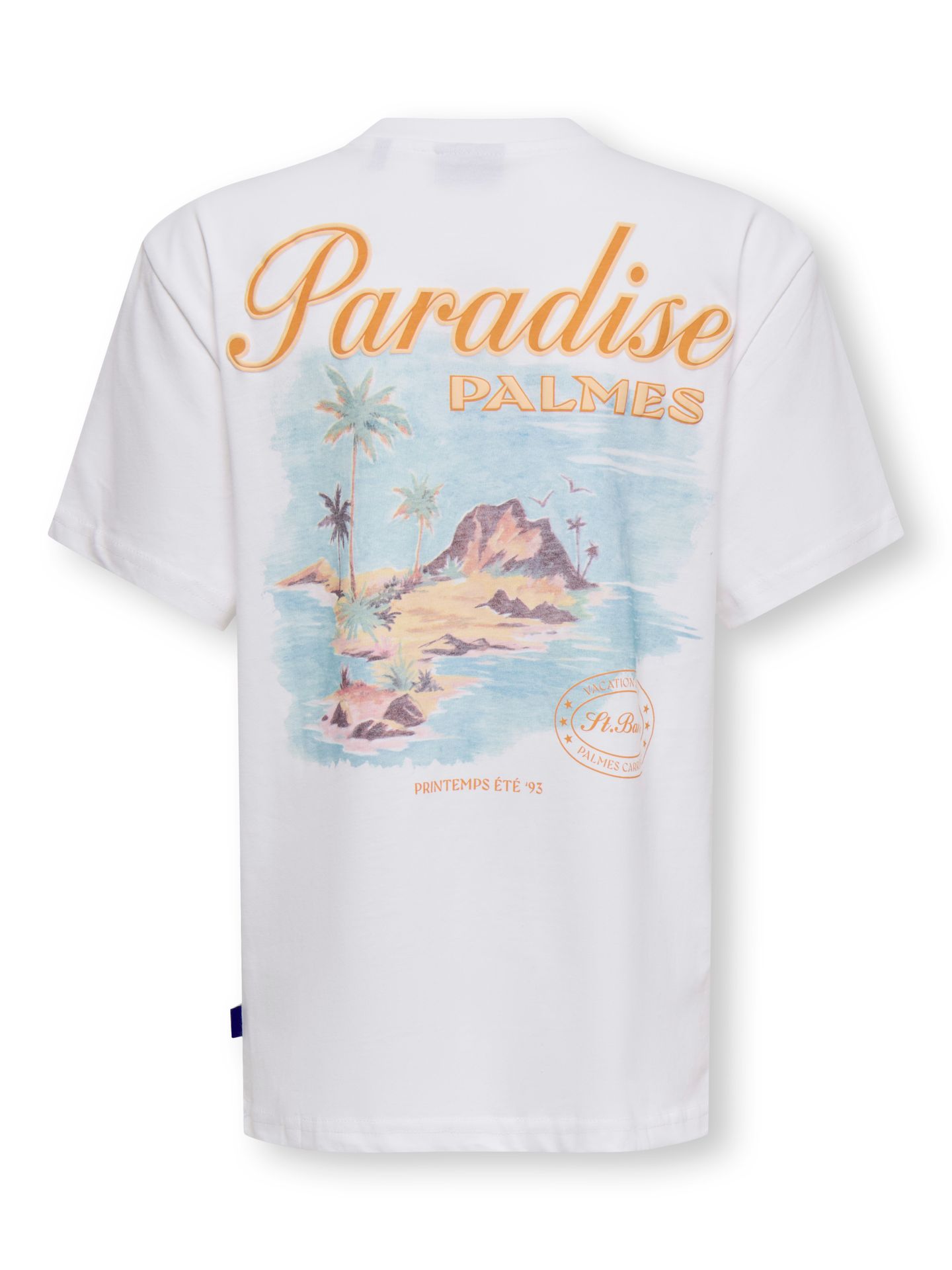 Only & Sons OSJMALIK VACA LIFE RLX SS TEE JRS Bright White/NAVAL ACADEMY 2900166711032