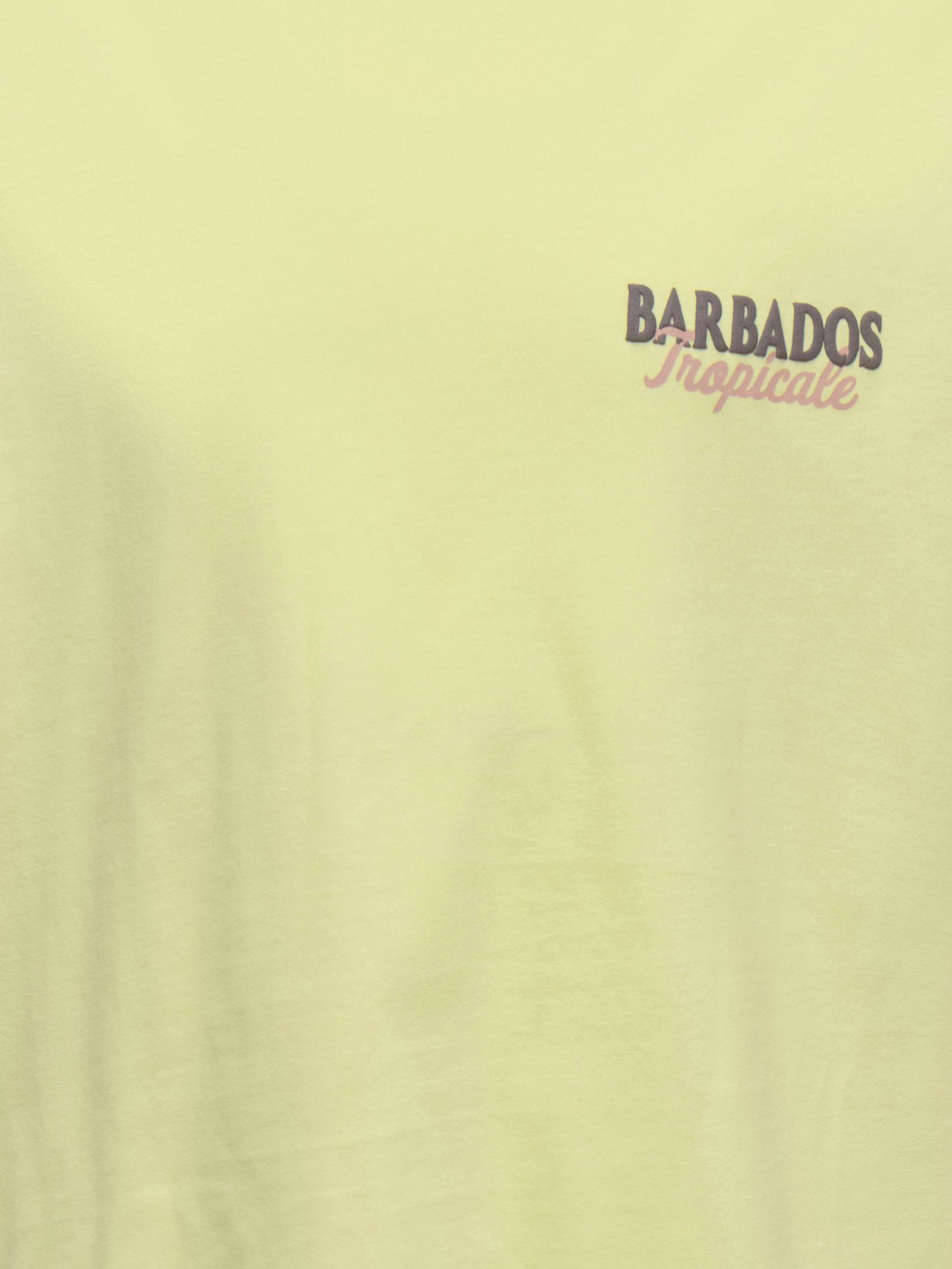 Only & Sons OSJMALIK VACA LIFE RLX SS TEE JRS Wax Yellow/TROPICALE 2900166710028