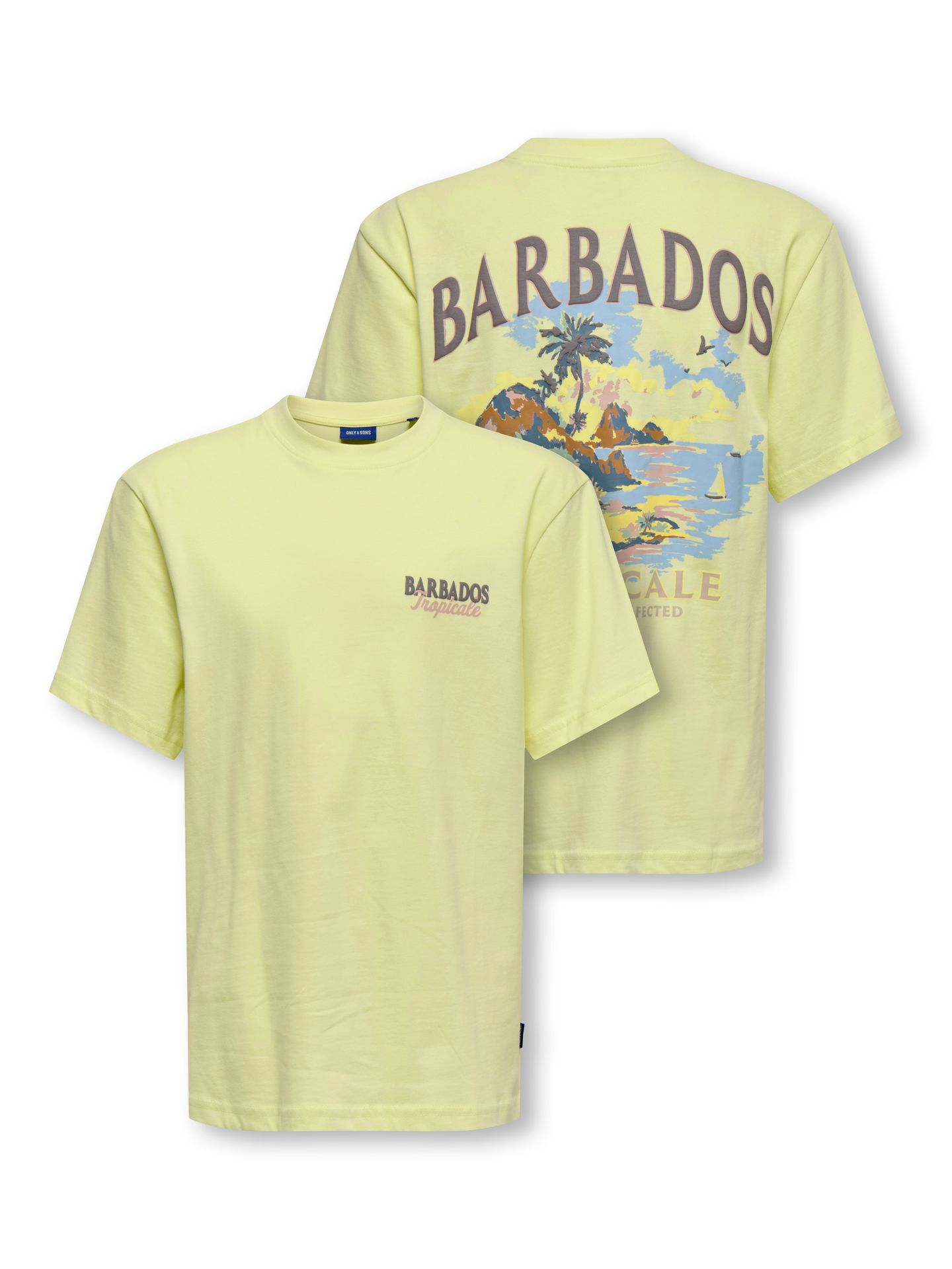 Only & Sons OSJMALIK VACA LIFE RLX SS TEE JRS Wax Yellow/TROPICALE 2900166710028
