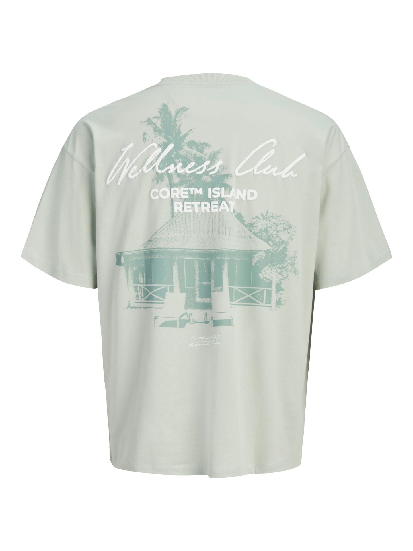 Jack & Jones JCOETERNA SCRIPT BACK PRINT TEE SS Aqua Gray 2900167098019