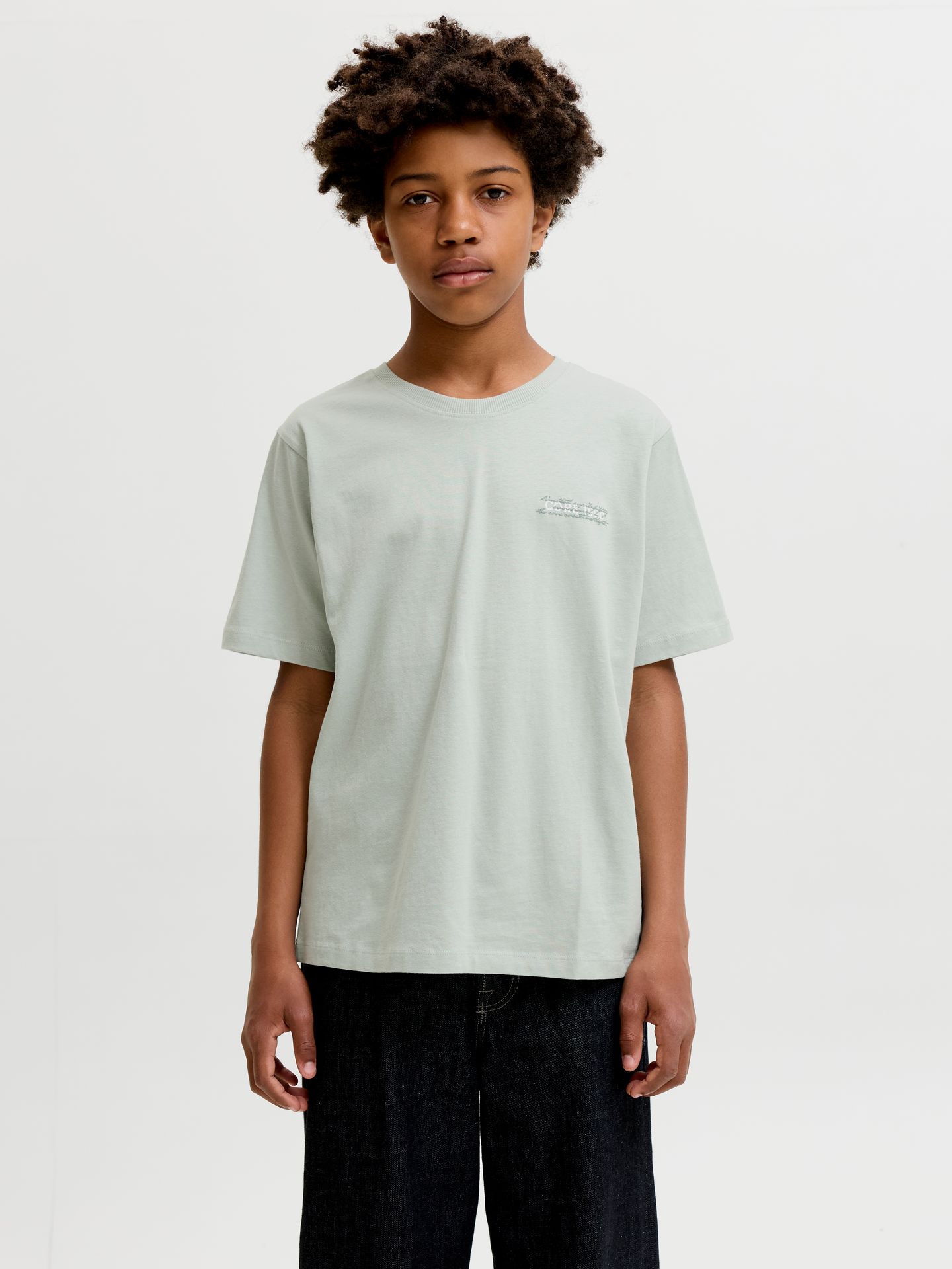 Jack & Jones JCOETERNA SCRIPT BACK PRINT TEE SS Aqua Gray 00118730-EKA26011400002613