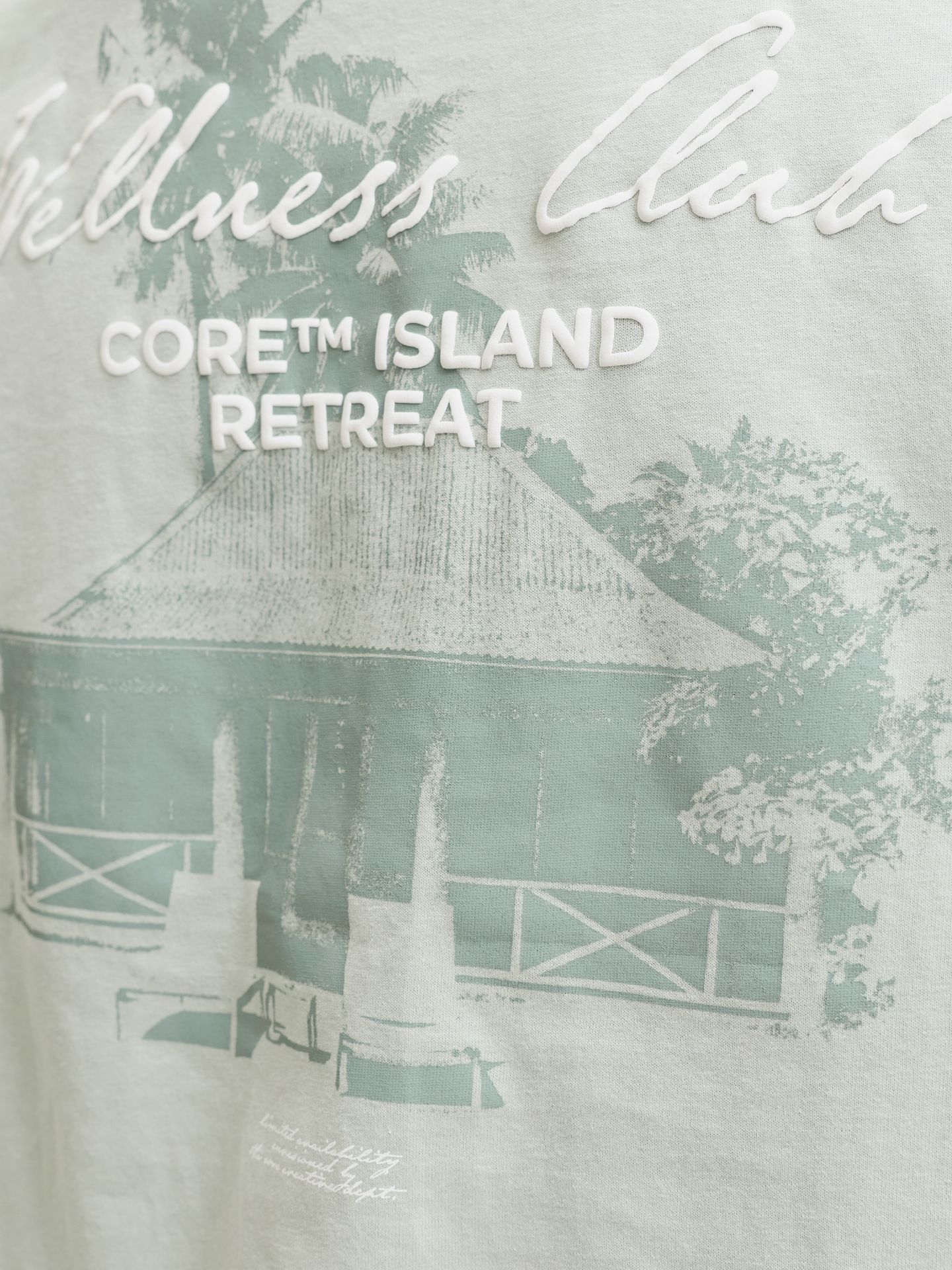 Jack & Jones JCOETERNA SCRIPT BACK PRINT TEE SS Aqua Gray 2900167098019