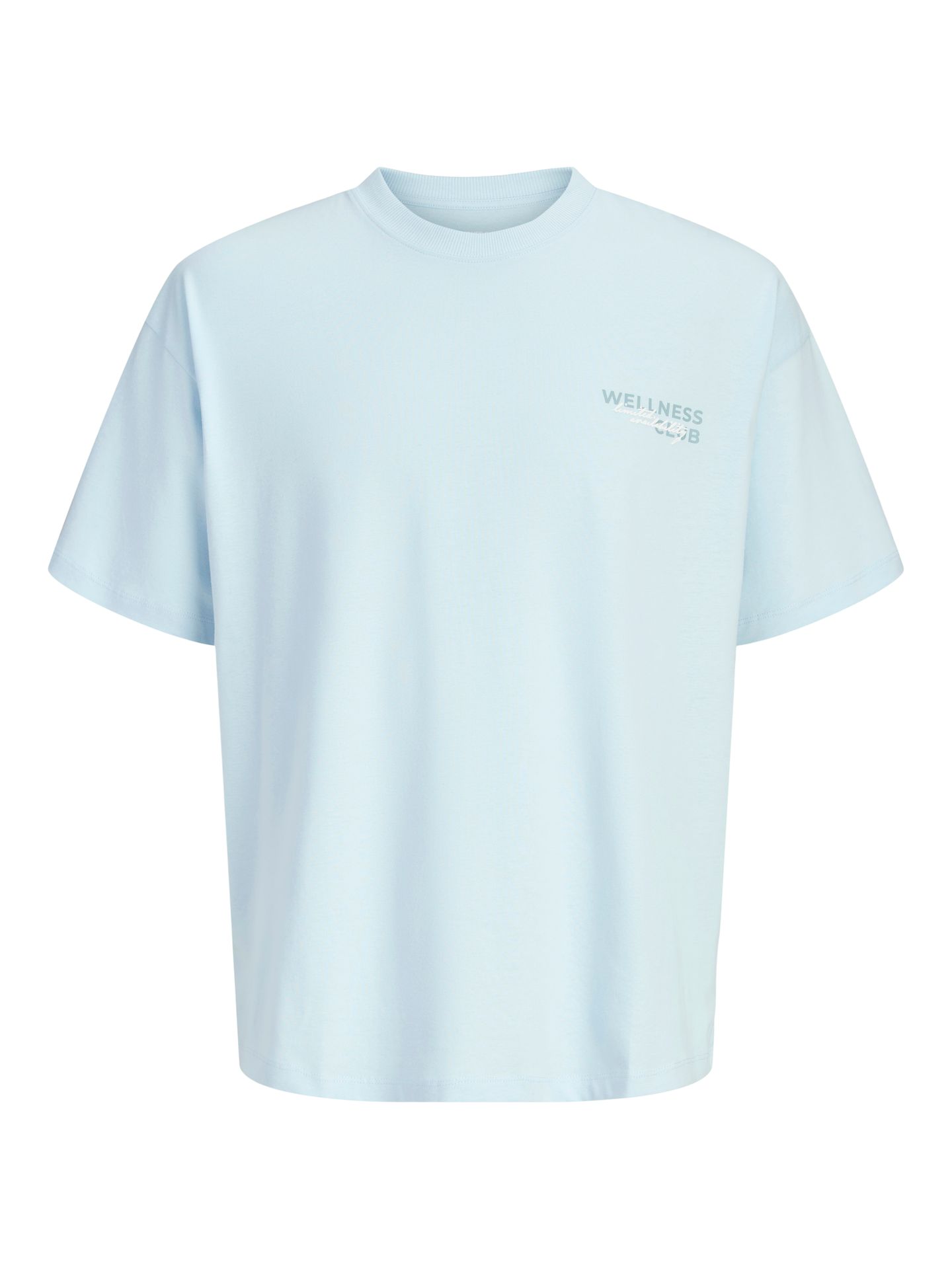 Jack & Jones JCOETERNA SCRIPT BACK PRINT TEE SS Omphalodes 00118730-EKA26011400003451