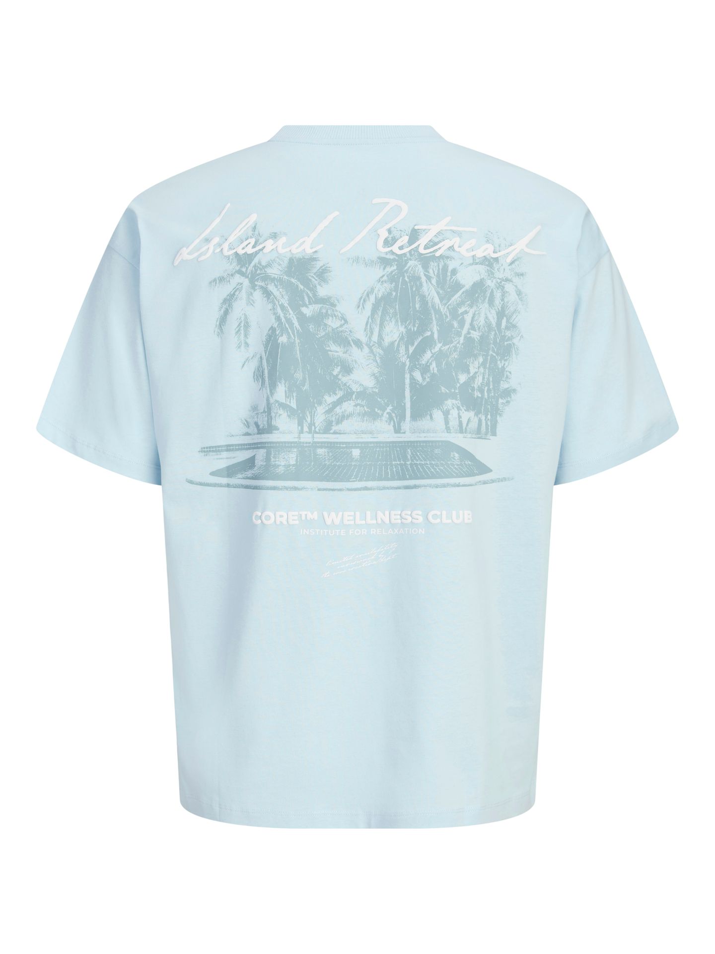 Jack & Jones JCOETERNA SCRIPT BACK PRINT TEE SS Omphalodes 2900167099023