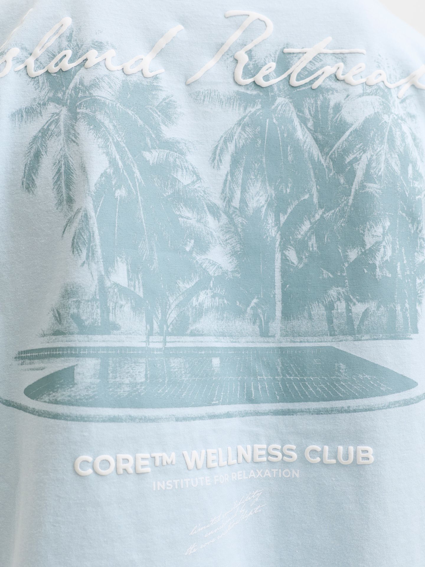 Jack & Jones JCOETERNA SCRIPT BACK PRINT TEE SS Omphalodes 2900167099023