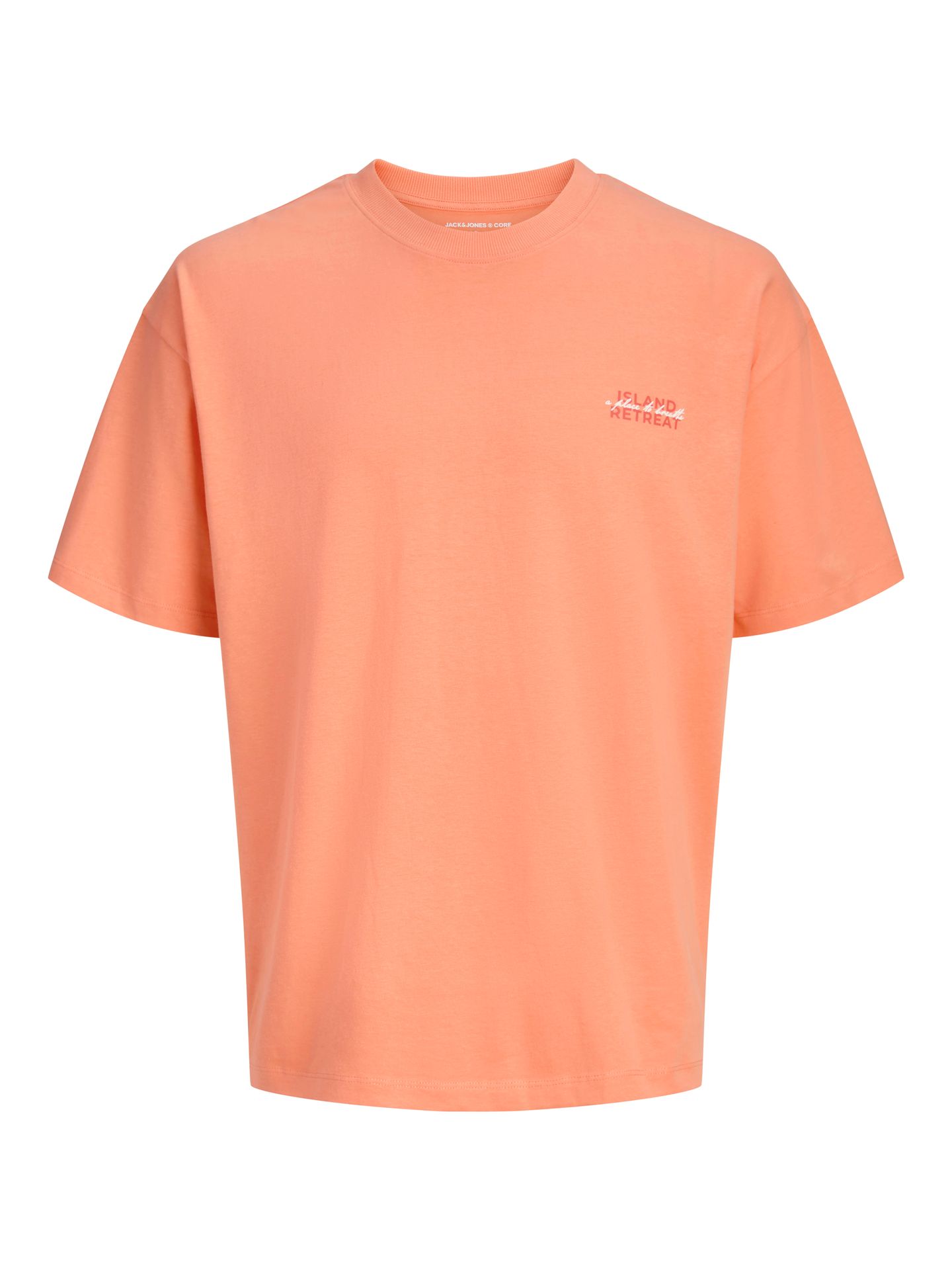 Jack & Jones JCOETERNA SCRIPT BACK PRINT TEE SS Persimmon 2900167106035