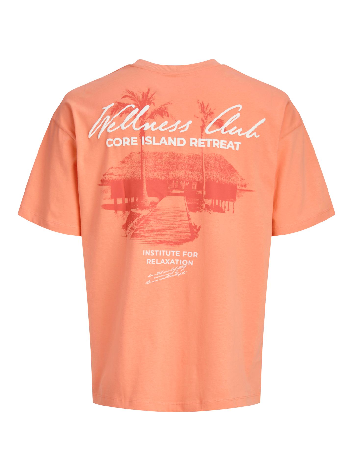 Jack & Jones JCOETERNA SCRIPT BACK PRINT TEE SS Persimmon 2900167106035
