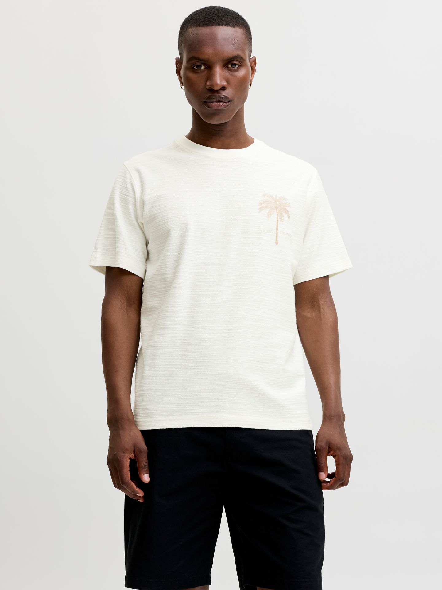 Jack & Jones JPRBLAEMMETT SS TEE Cloud Dancer 2900167292042