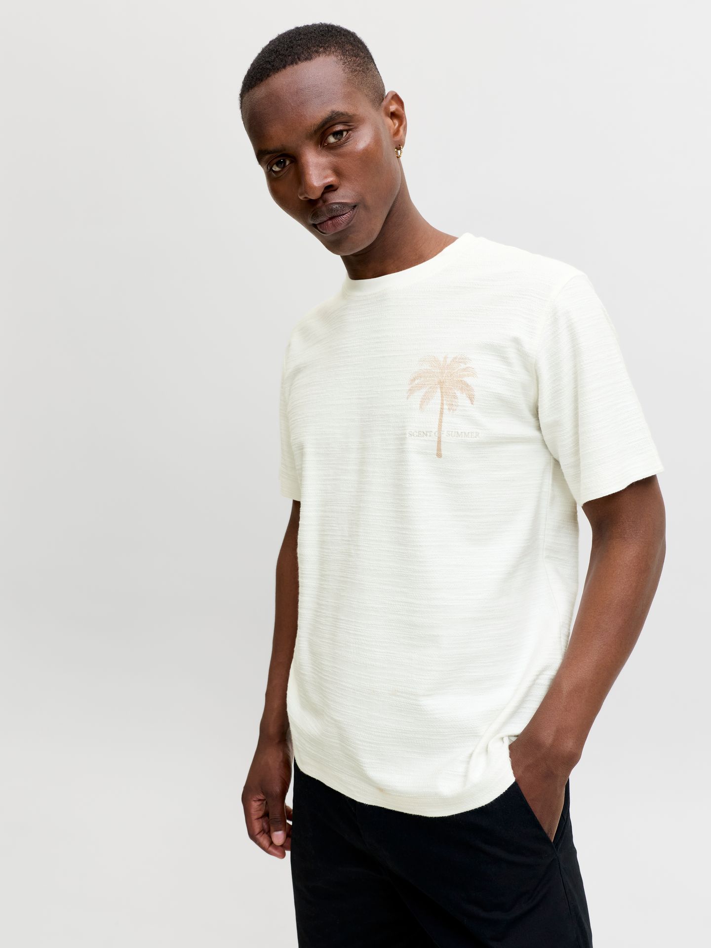 Jack & Jones JPRBLAEMMETT SS TEE Cloud Dancer 2900167292042