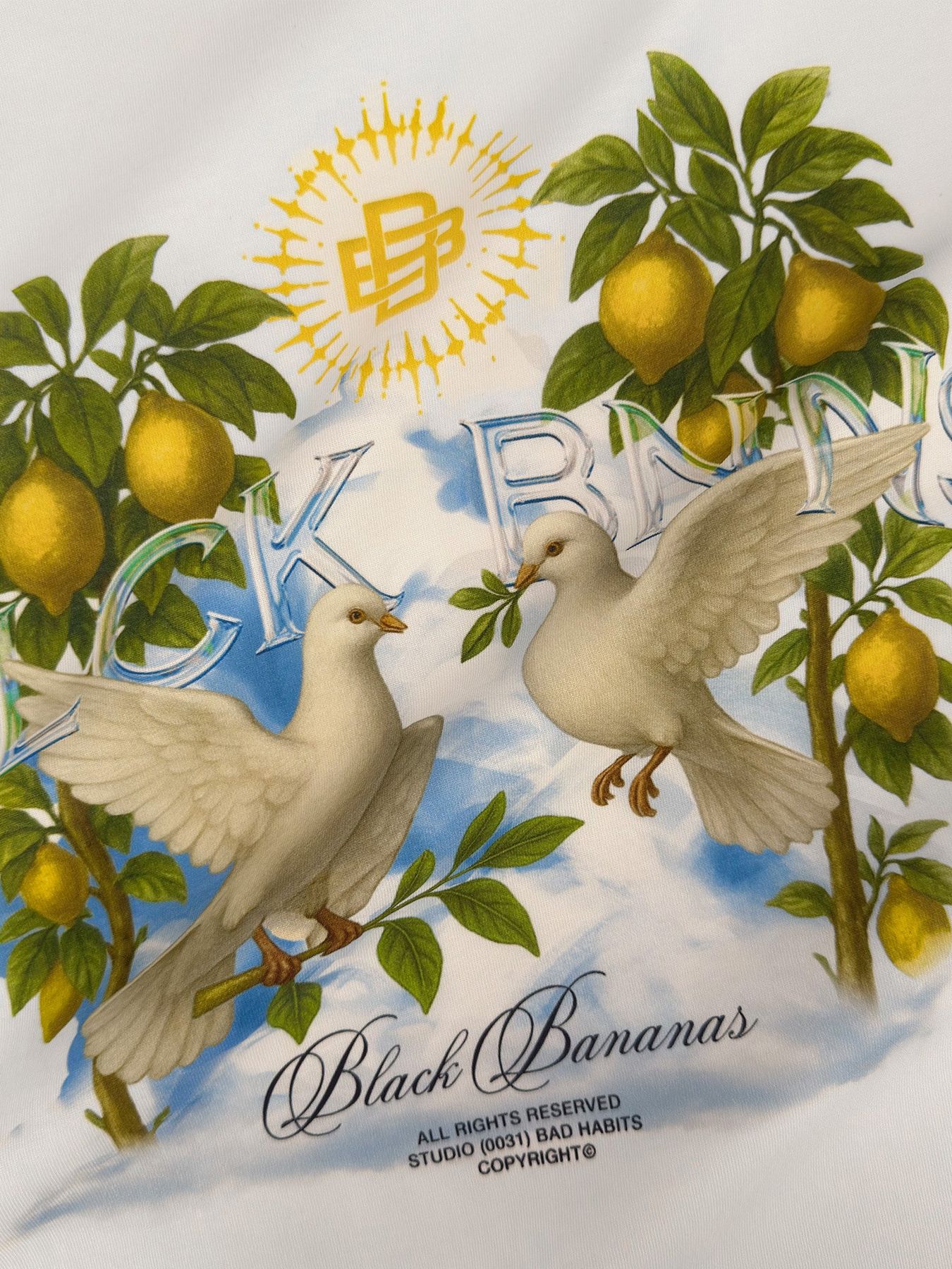 Black Bananas Doves tee White 2900167316038