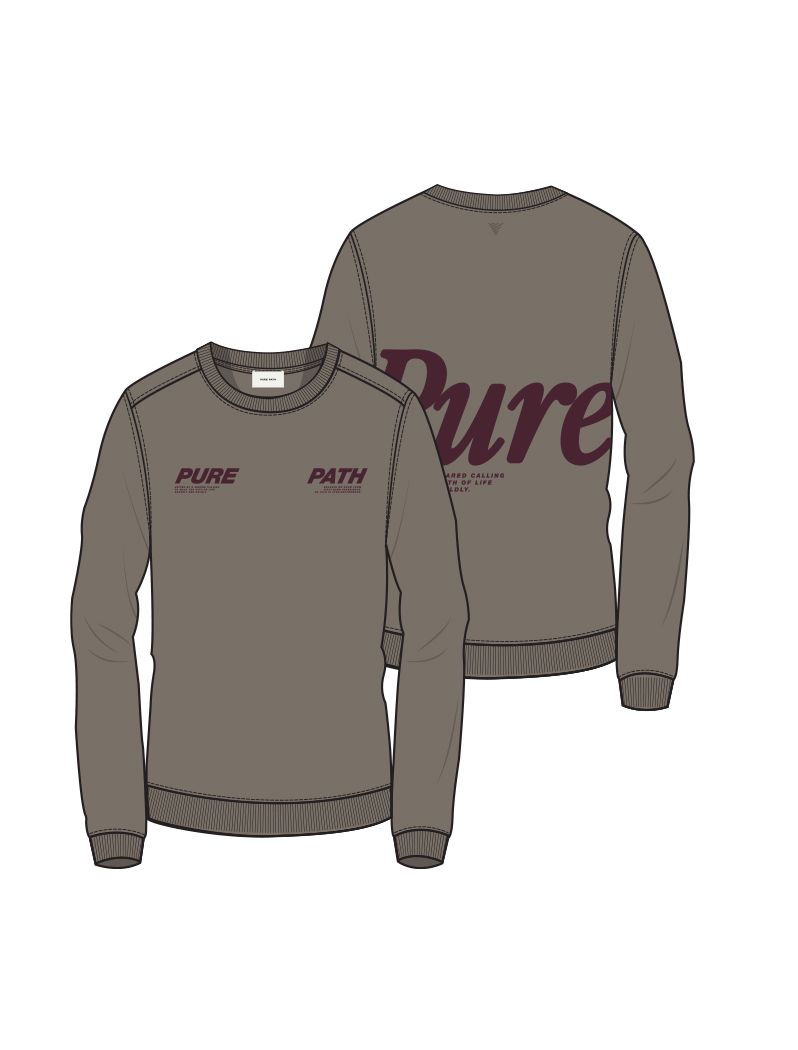 Pure Path Pure Sweater 53 taupe 00119385-EKA26015200000009