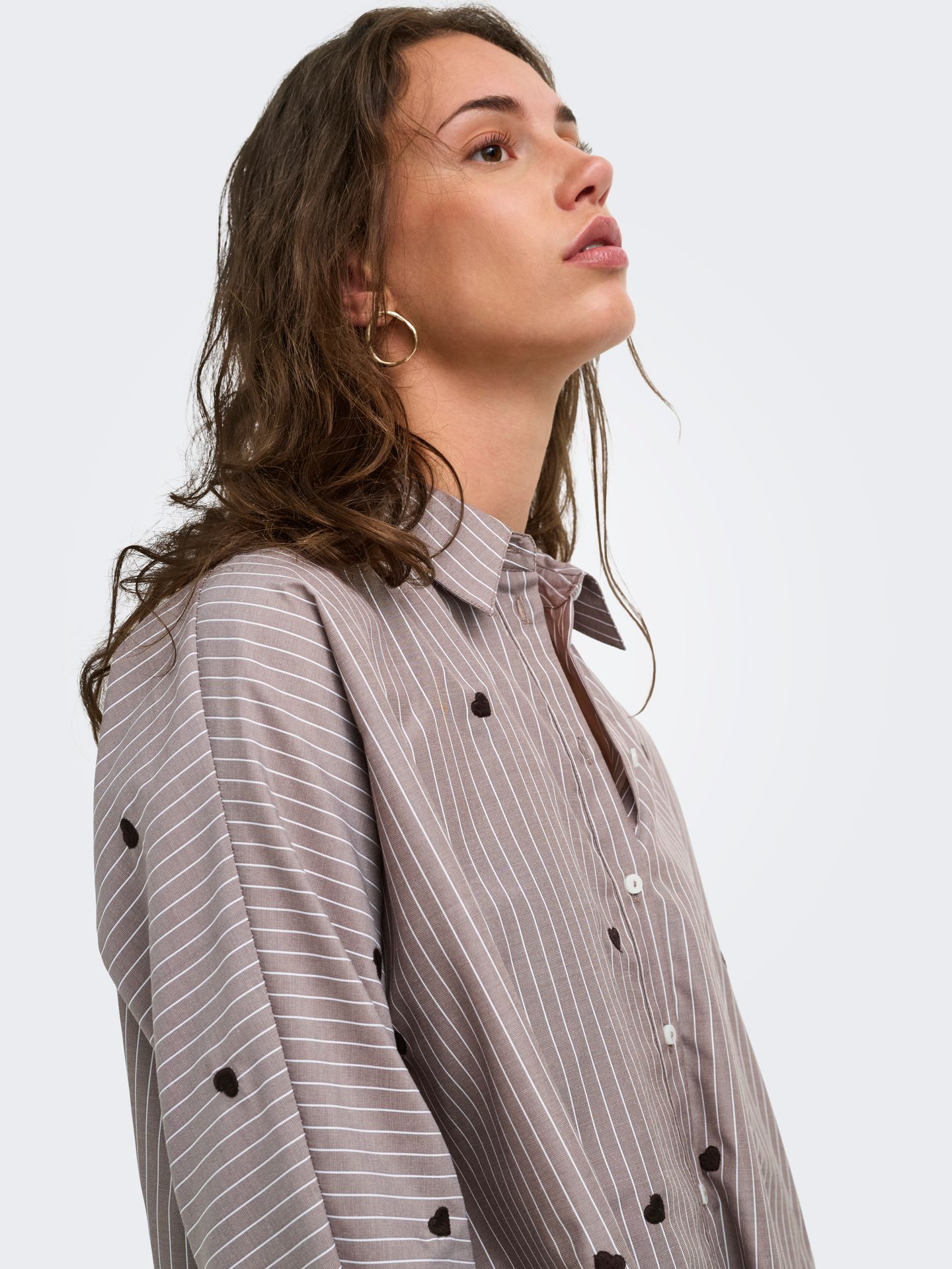 Only ONLNEW LINA GRACE STR EMB SHIRT NOO Coffee Bean/STRIPE W. COFFEE BEAN H 2900168288051