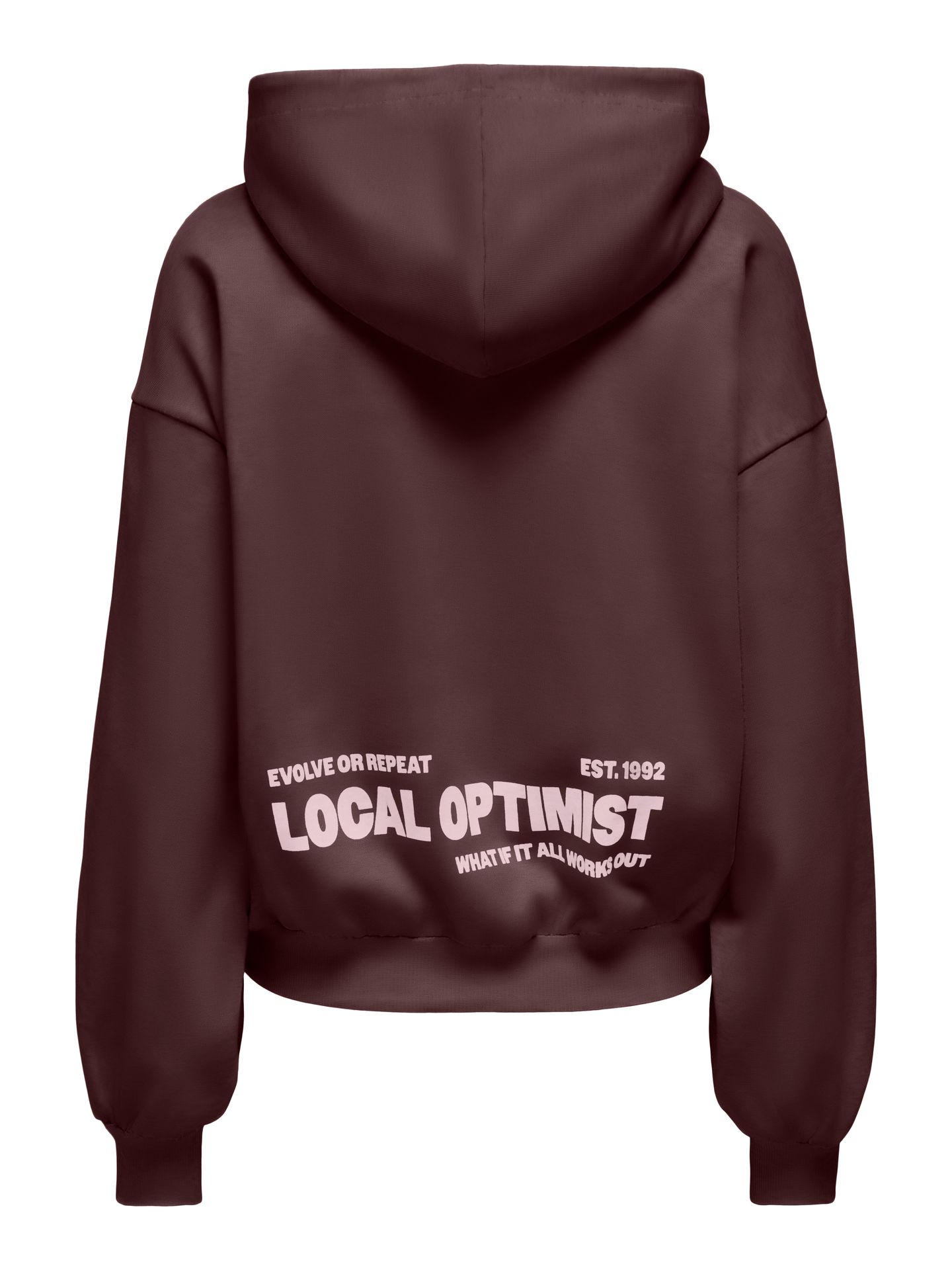 Only ONLOFELIA L/S HOOD UB SWT Decadent Chocolate/Local + optimist 2900168321048