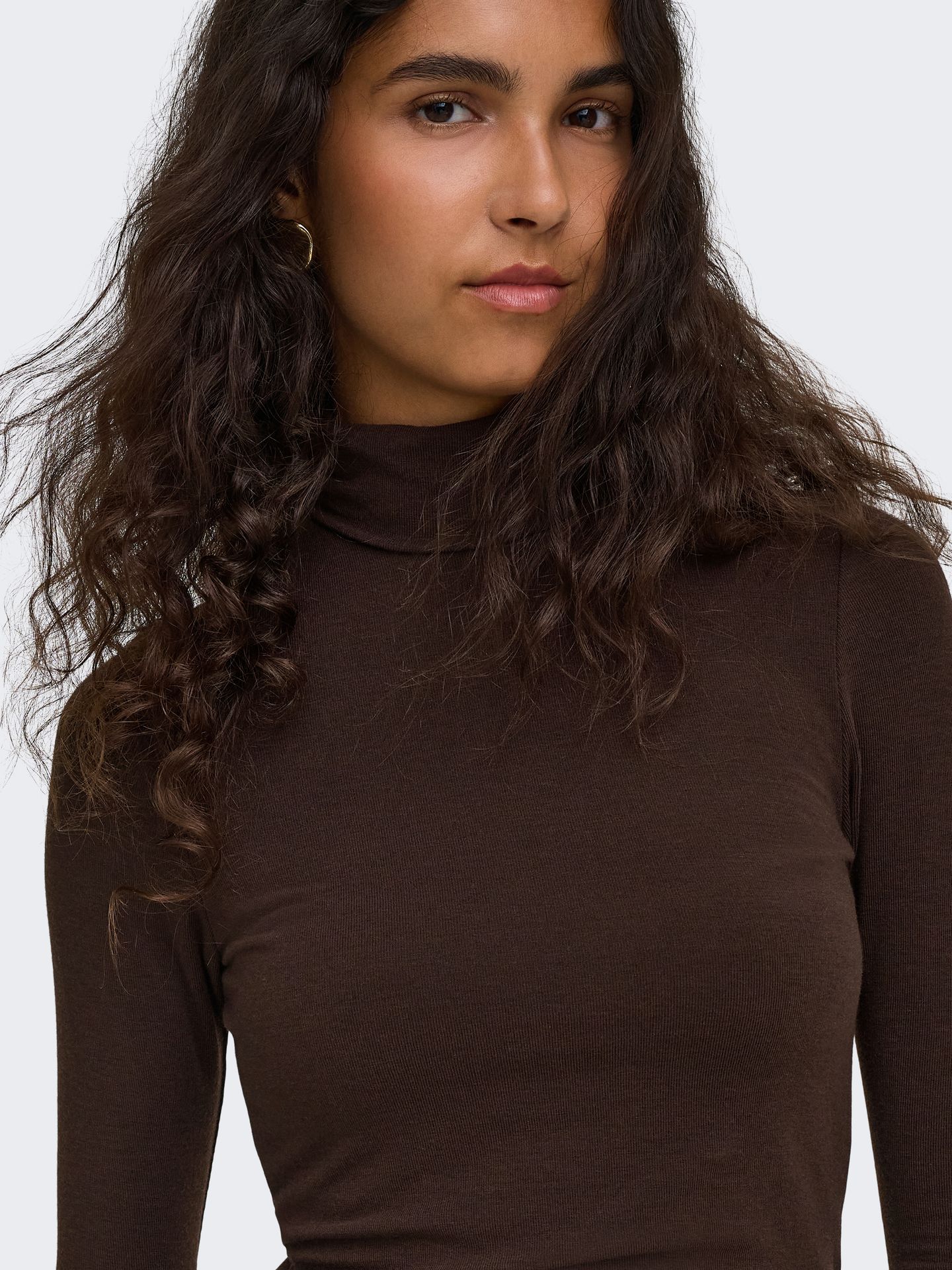 Only ONLGLAMOUR L/S ROLL-NECK TOP JRS NO Black Coffee 2900168483050