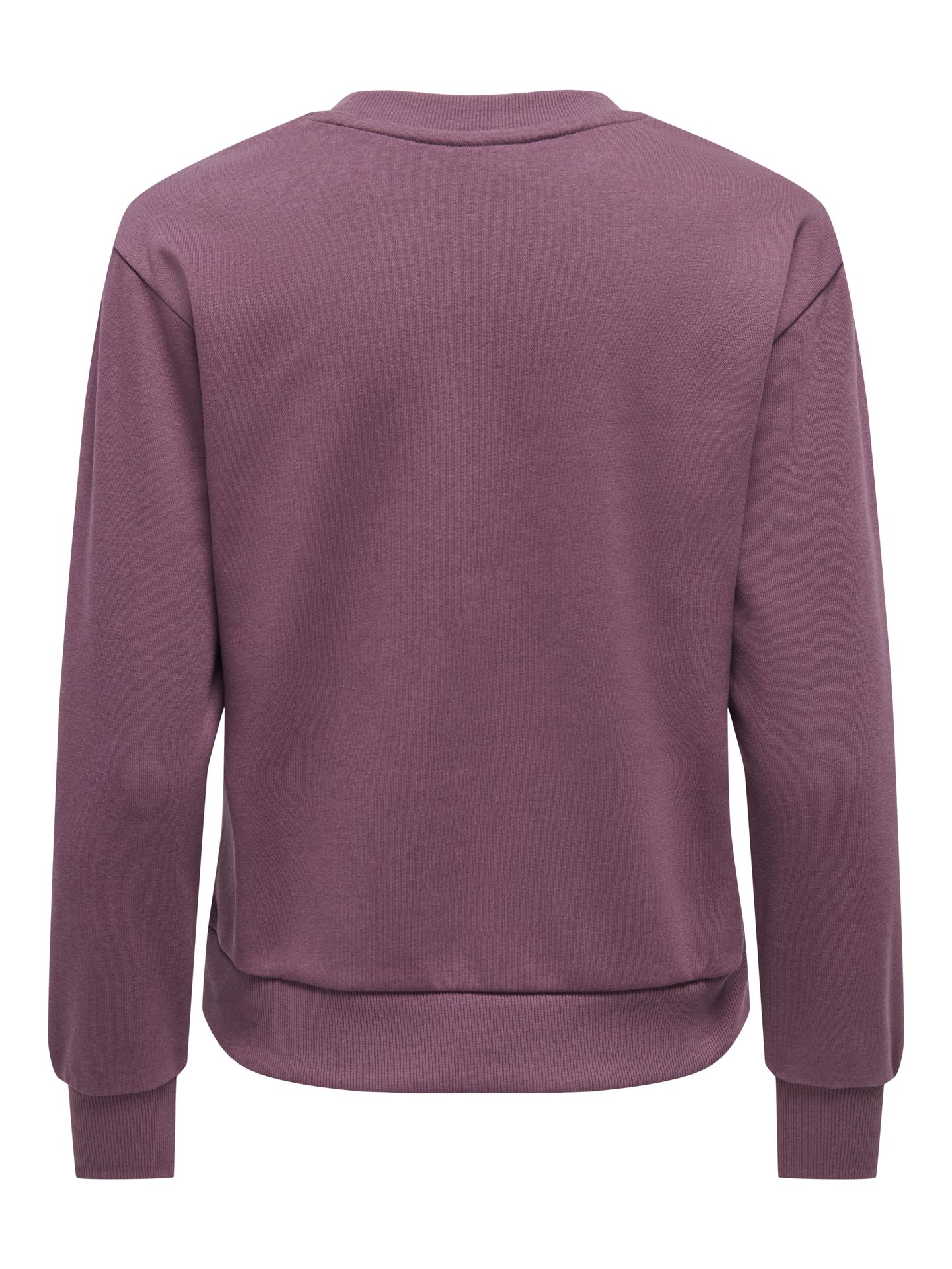 Only JDYPARIS L/S EMB SWEAT JRS NOOS Huckleberry/GLITTER PARIS TNT EMB 2900168491048