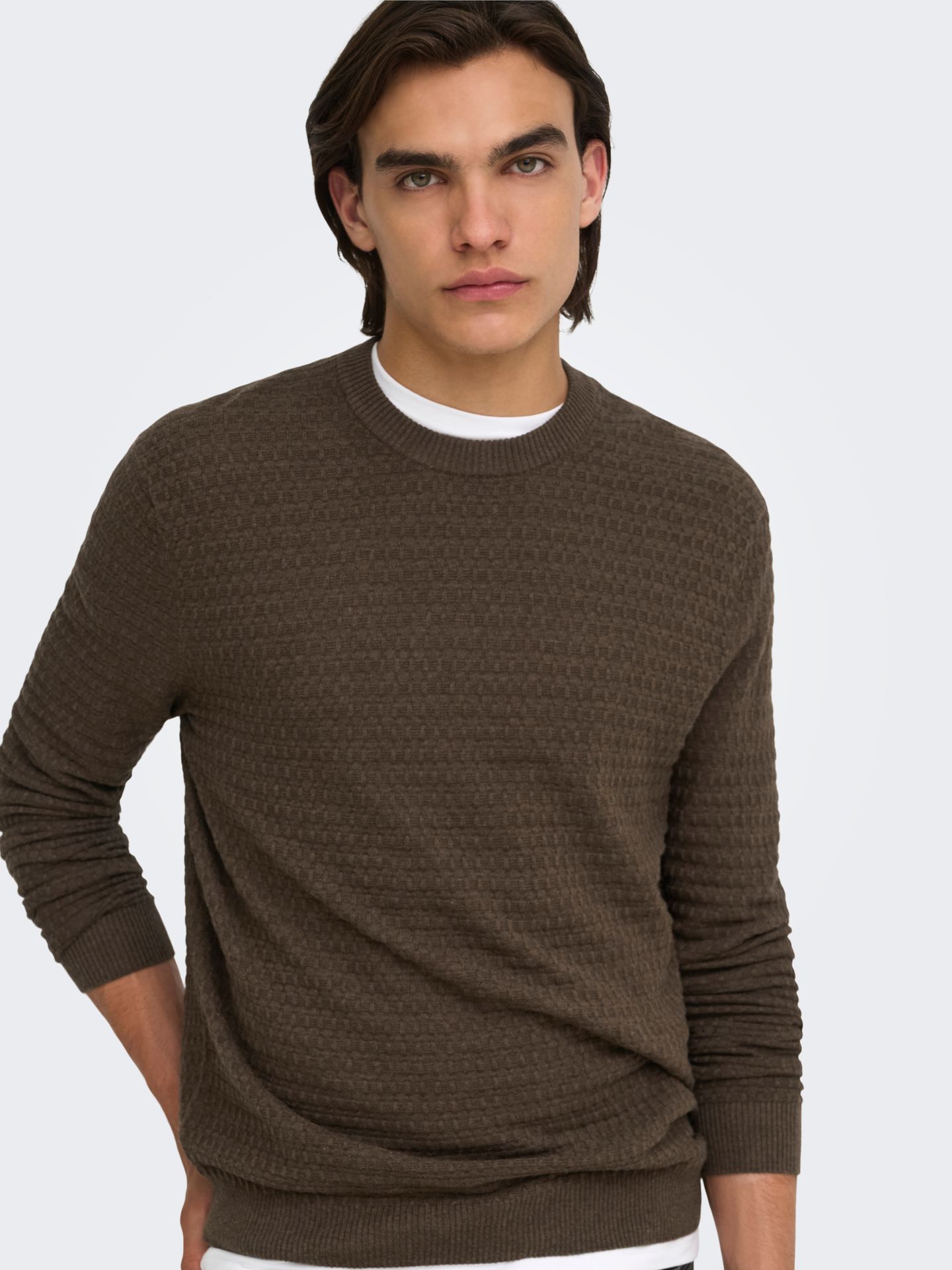 Only & Sons ONSLOUI LS STRUCTURE CREW REG NOOS Coffee Bean/MENU STRUCTURE 2900168880040