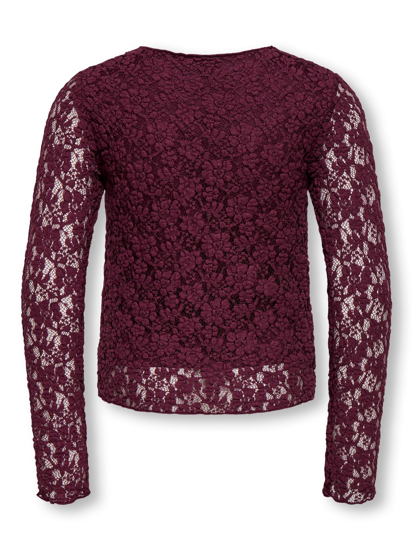 Only KOGLEIKA LS LACE TOP JRS NOOS Fig 00119663-EKA26011400001684