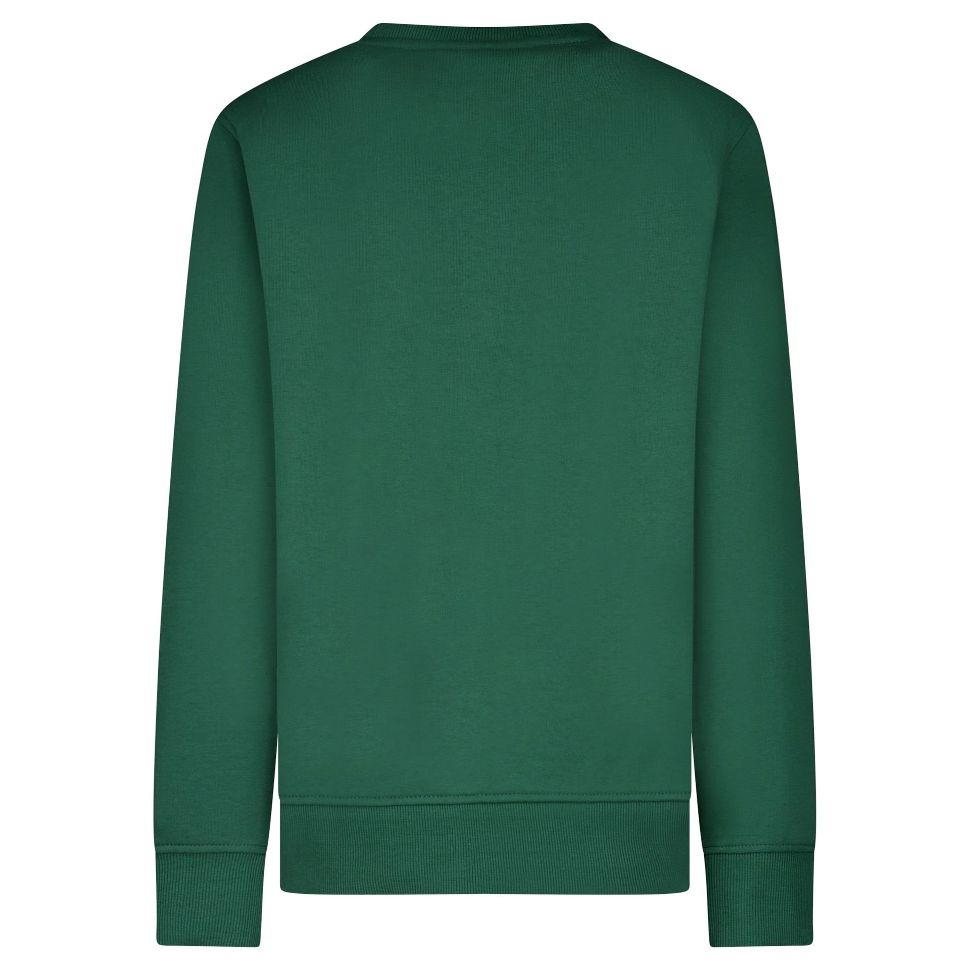 Cars jeans Kids RULFO SW Green 55 green 2900169428050