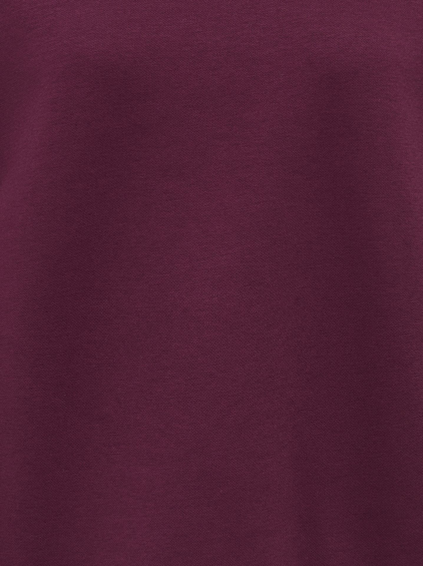 Only ONLZENJA BOXY L/S BOX PRI CS SWT Fig/Aesthetic 00120003-EKA26011400003797