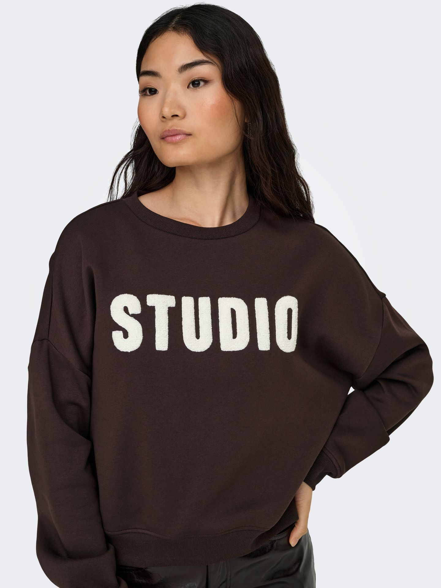 Only ONLSWEAT LIFE L/S CREW O.SIZE STATE Coffee Bean/STUDIO - TERRY EMB. 00120129-EKA26011400003755