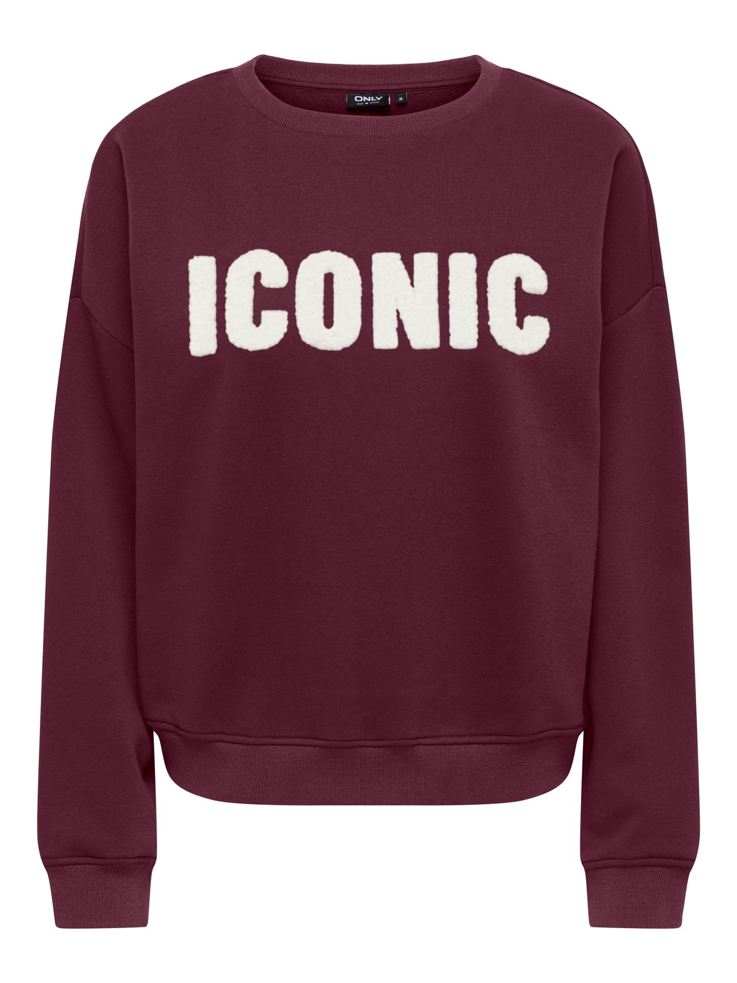 Only ONLSWEAT LIFE L/S CREW O.SIZE STATE Fig/ICONIC - TEDDY 00120129-EKA26011400003756