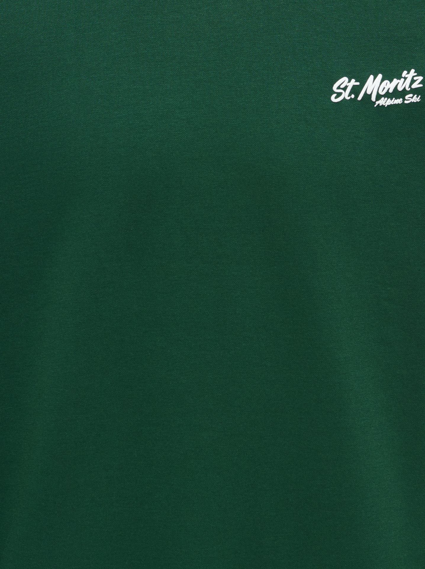 Only & Sons ONSBEJMO MORITS RLX LS CREW NECK Pine Grove/AMOR PROJECT 2900171178059