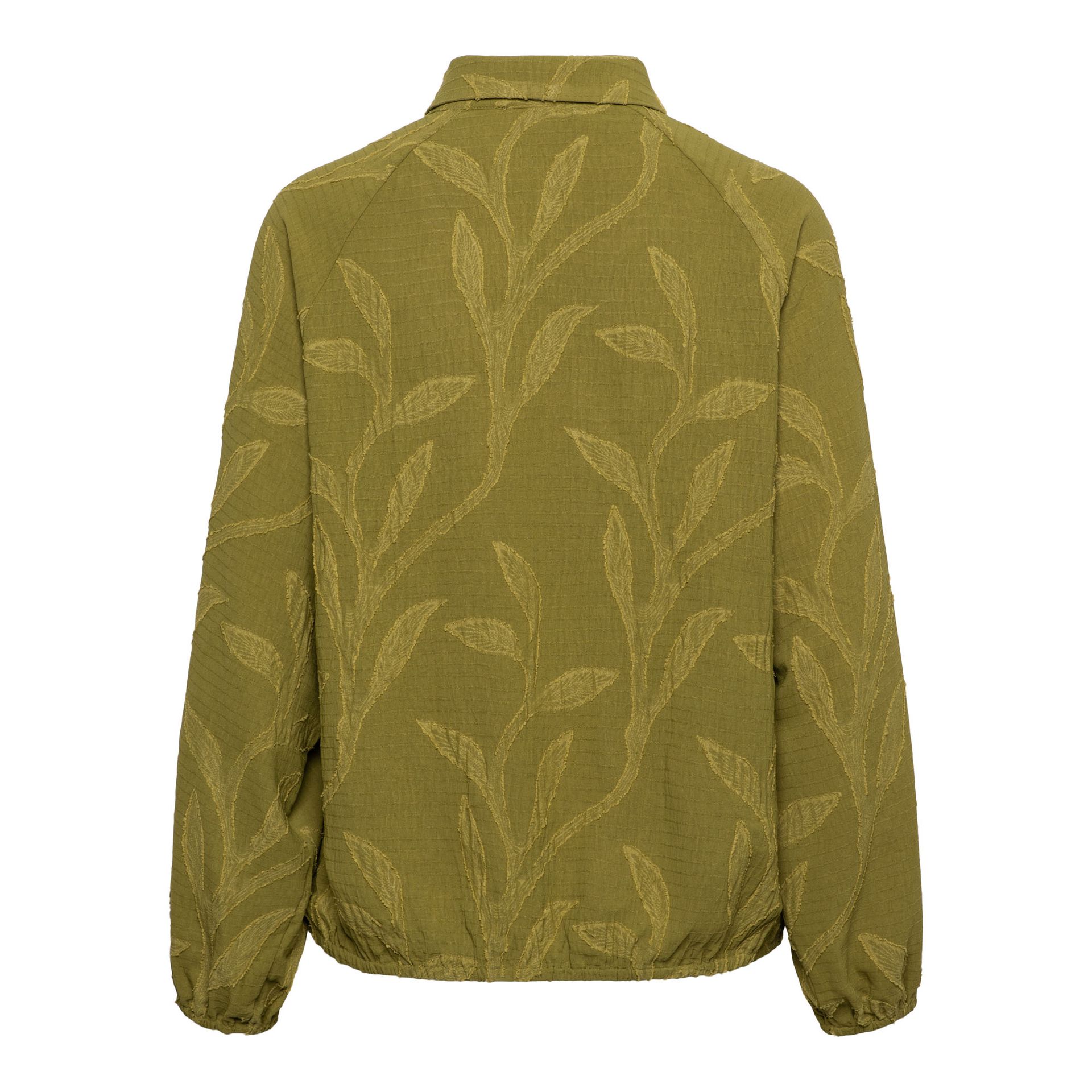 &Co Woman WINA 66091 on-olive 2900171614069