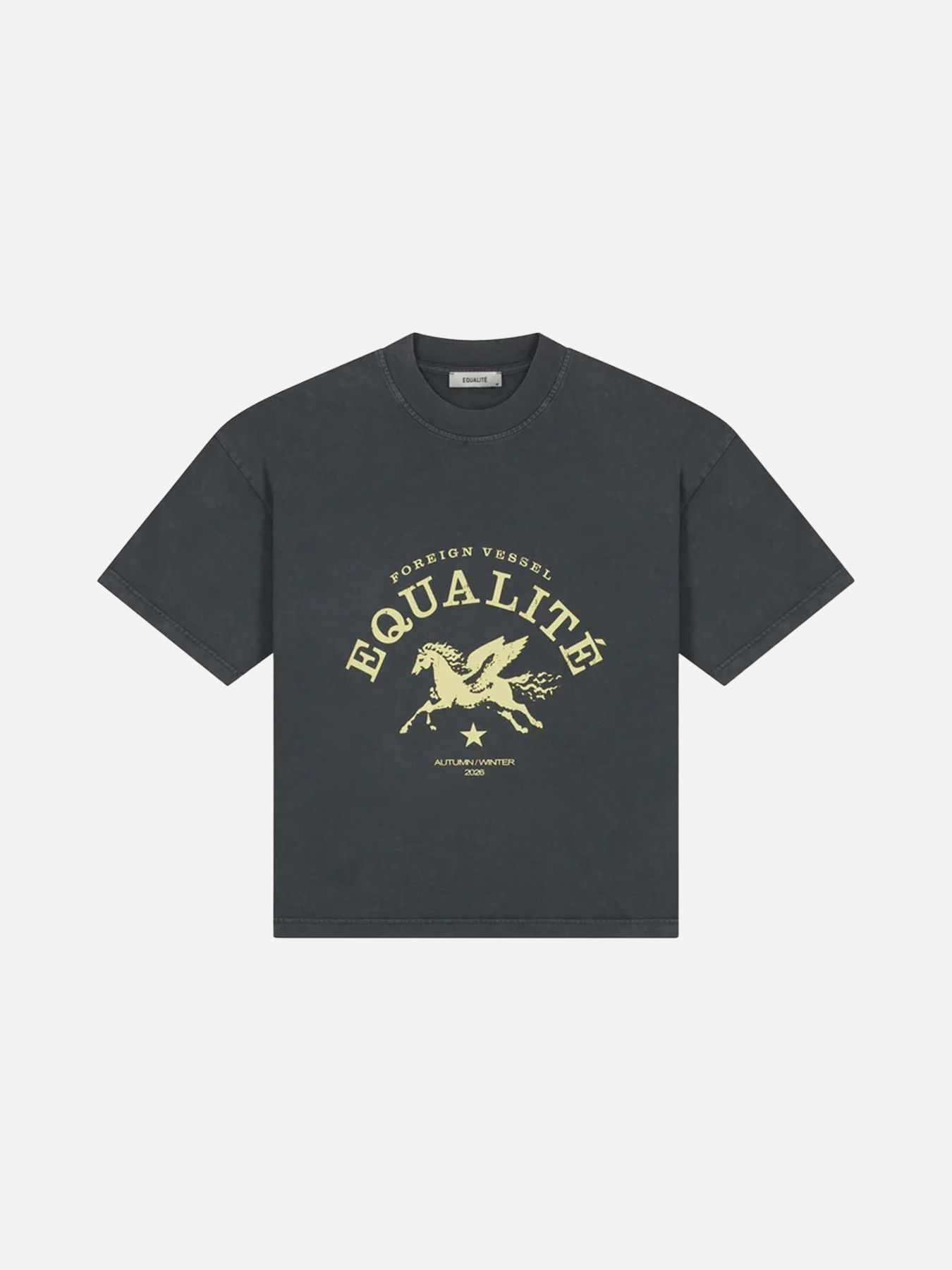 EqualitÃ© Sian boxy tee Washed Grey 2900172512036