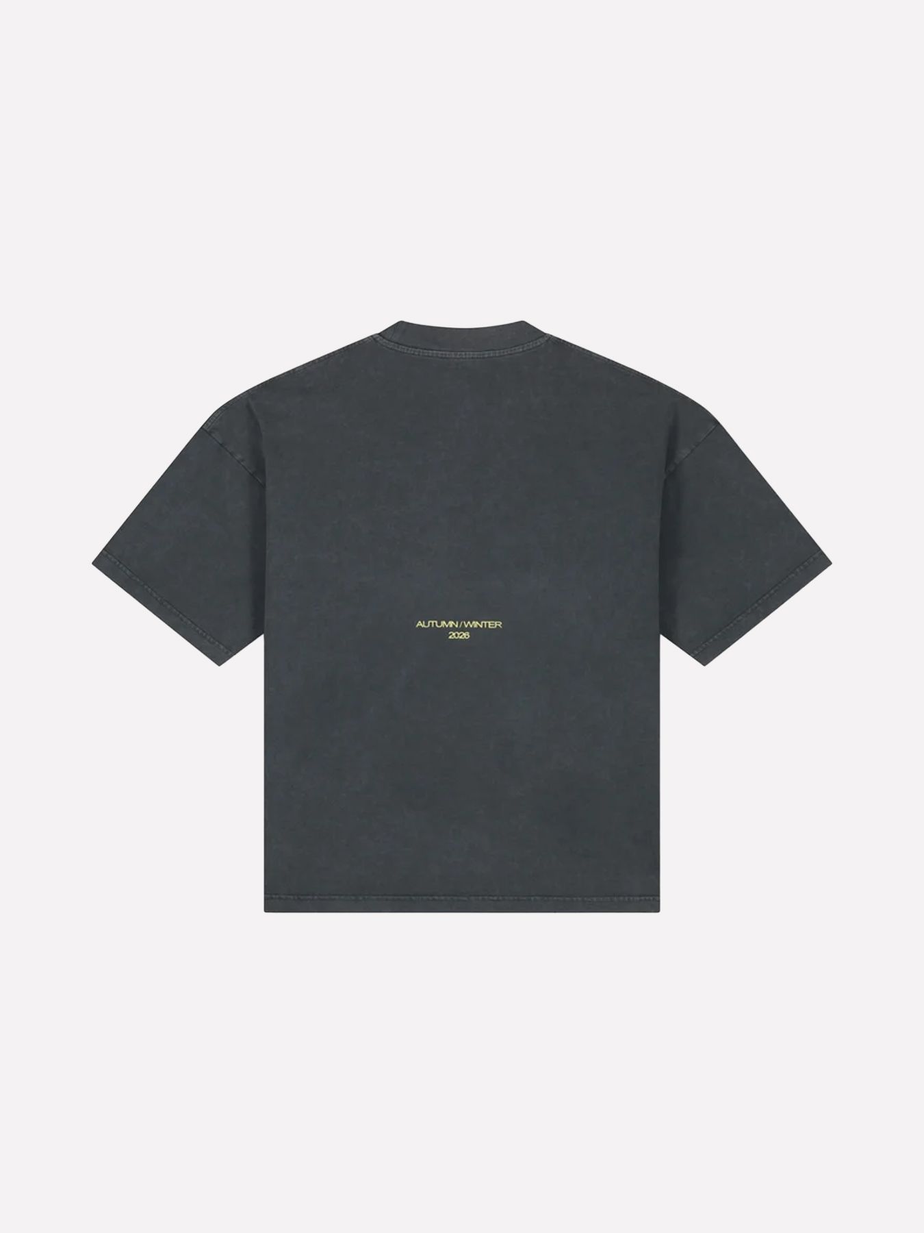 EqualitÃ© Sian boxy tee Washed Grey 2900172512036