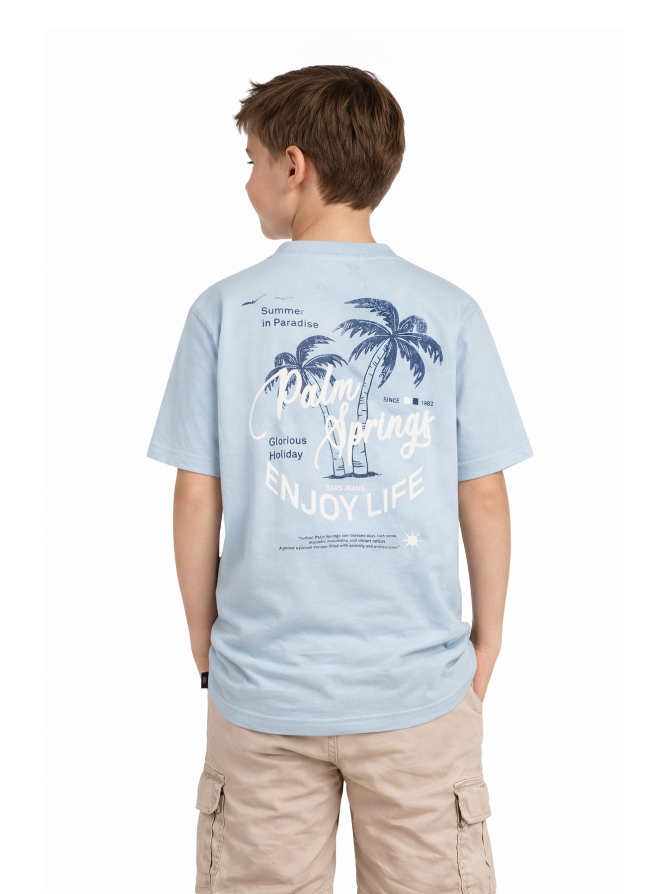 Cars jeans T-shirt Suroso jr. 71 grey blue 2900156547016