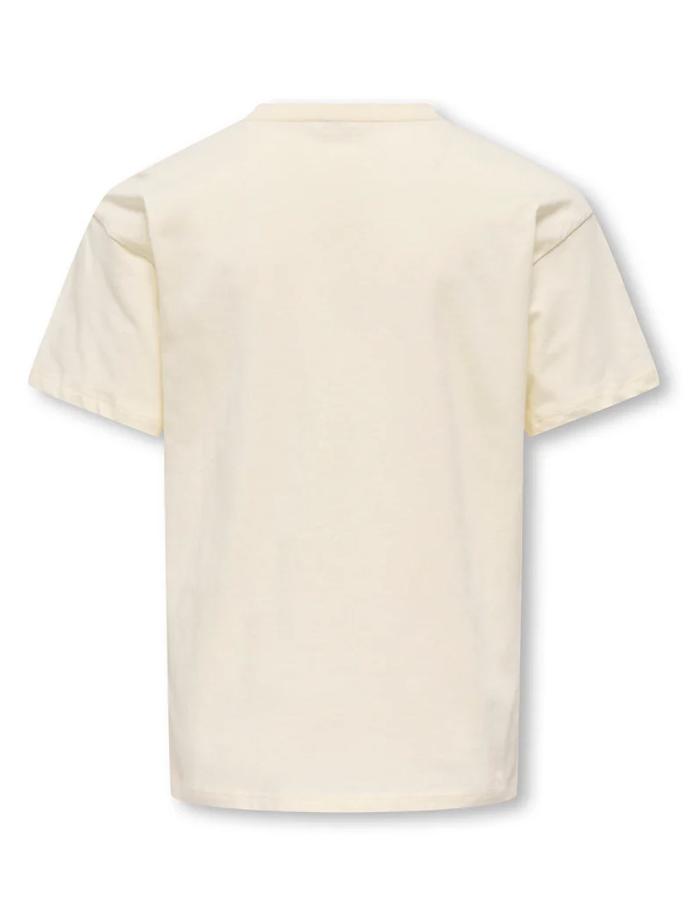 Kids Only KOGCARINA LIFE SS LOOSE PRINTED TOP Tofu/Palm 2900162677028