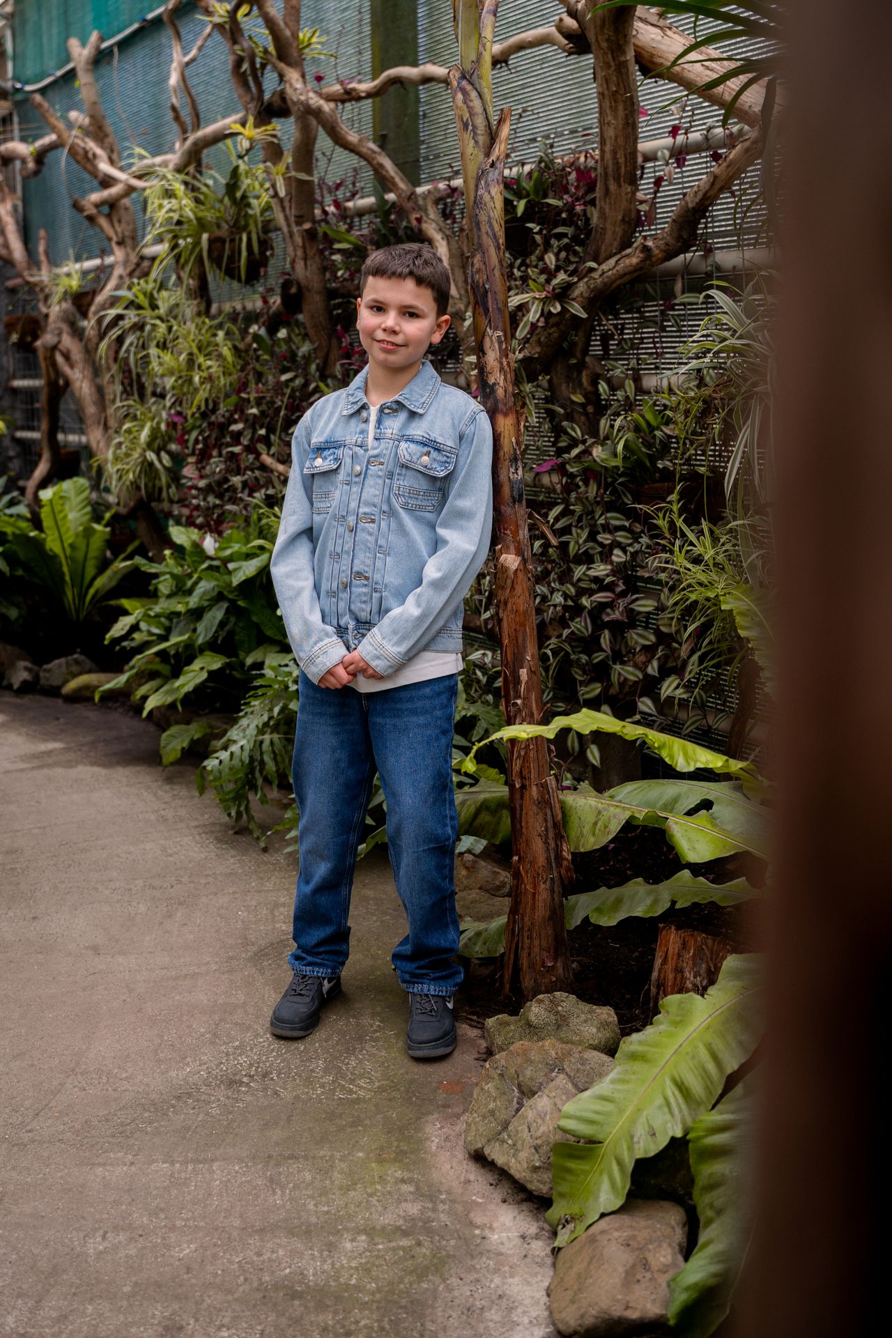 Jack & Jones JJICLARK JJORIGINAL MF 123 NOOS JNR Blue Denim 2900144315030